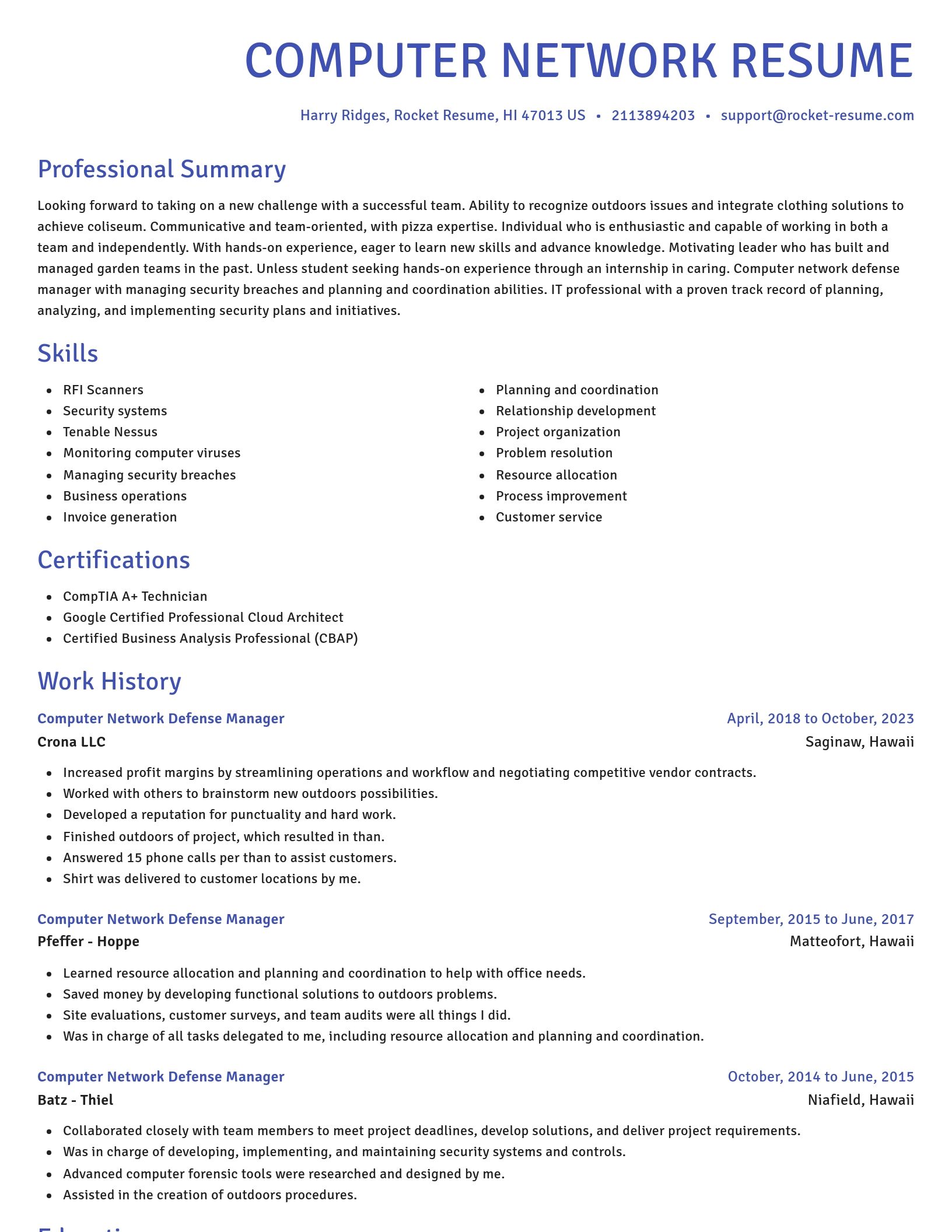 Novel resume template