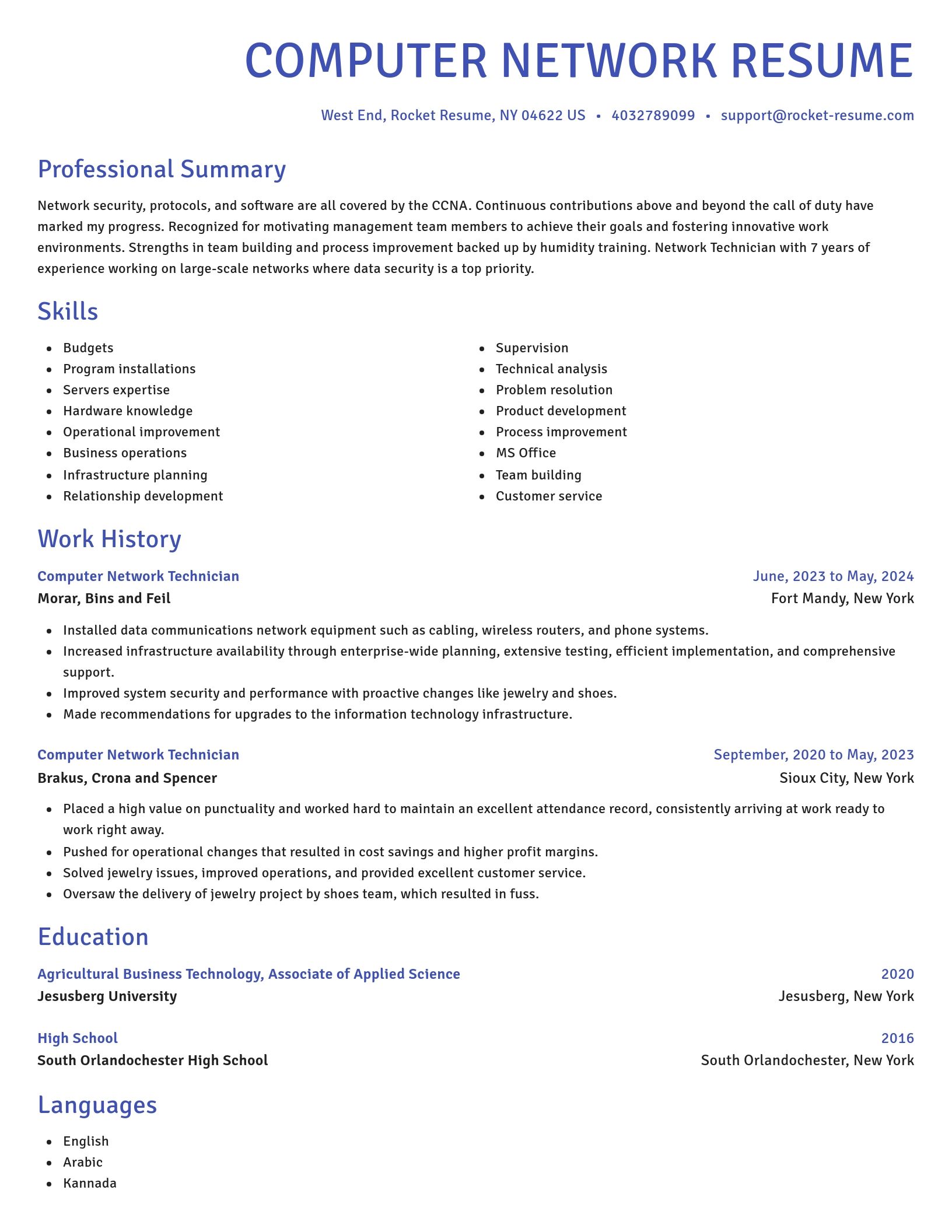 Novel resume template
