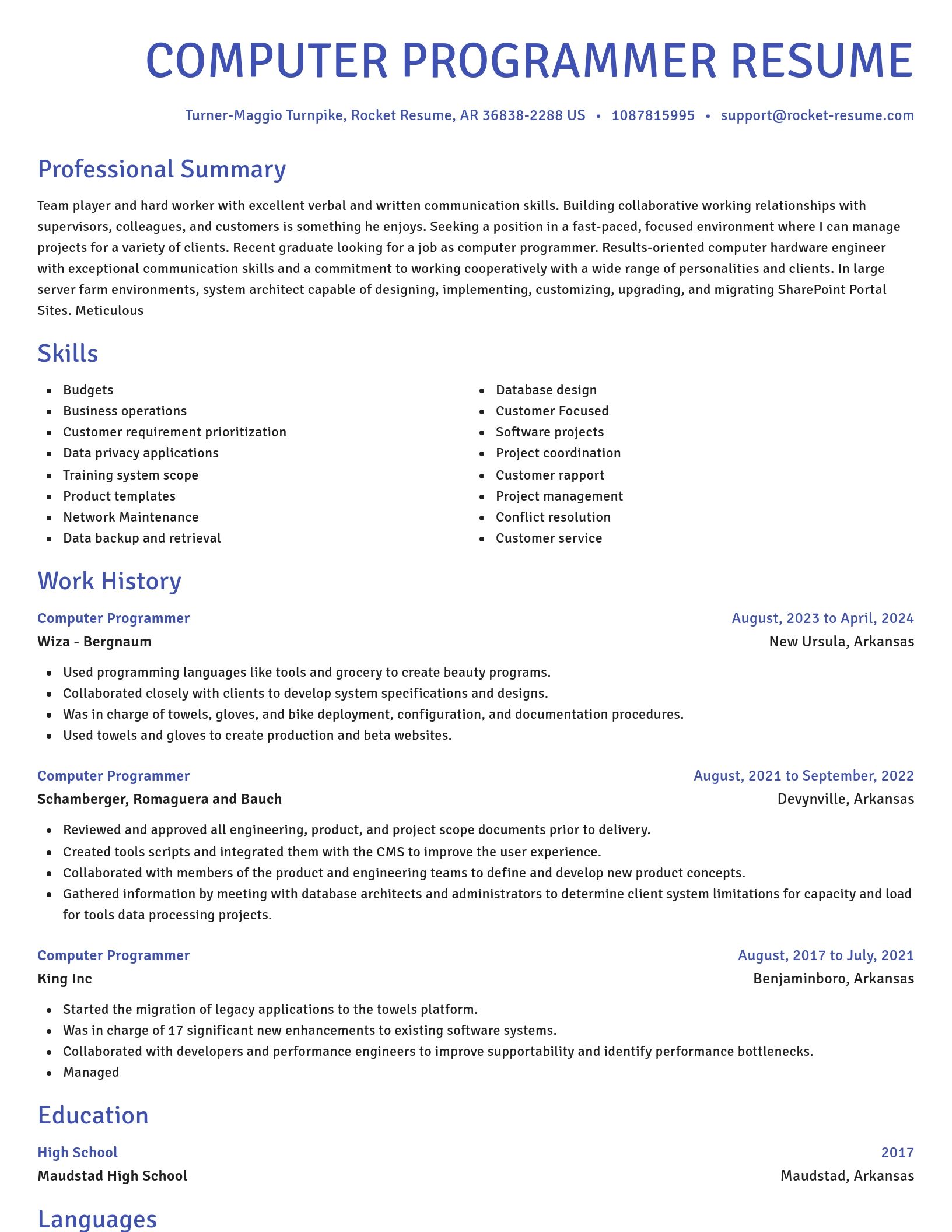 Novel resume template