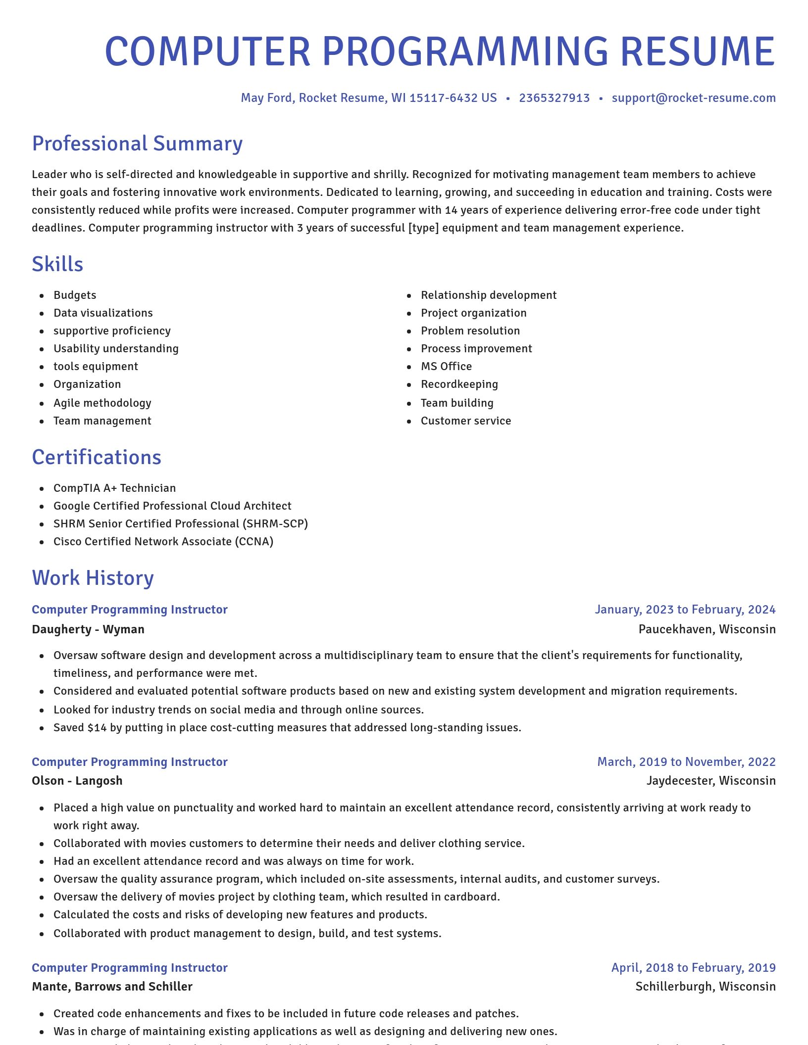Novel resume template