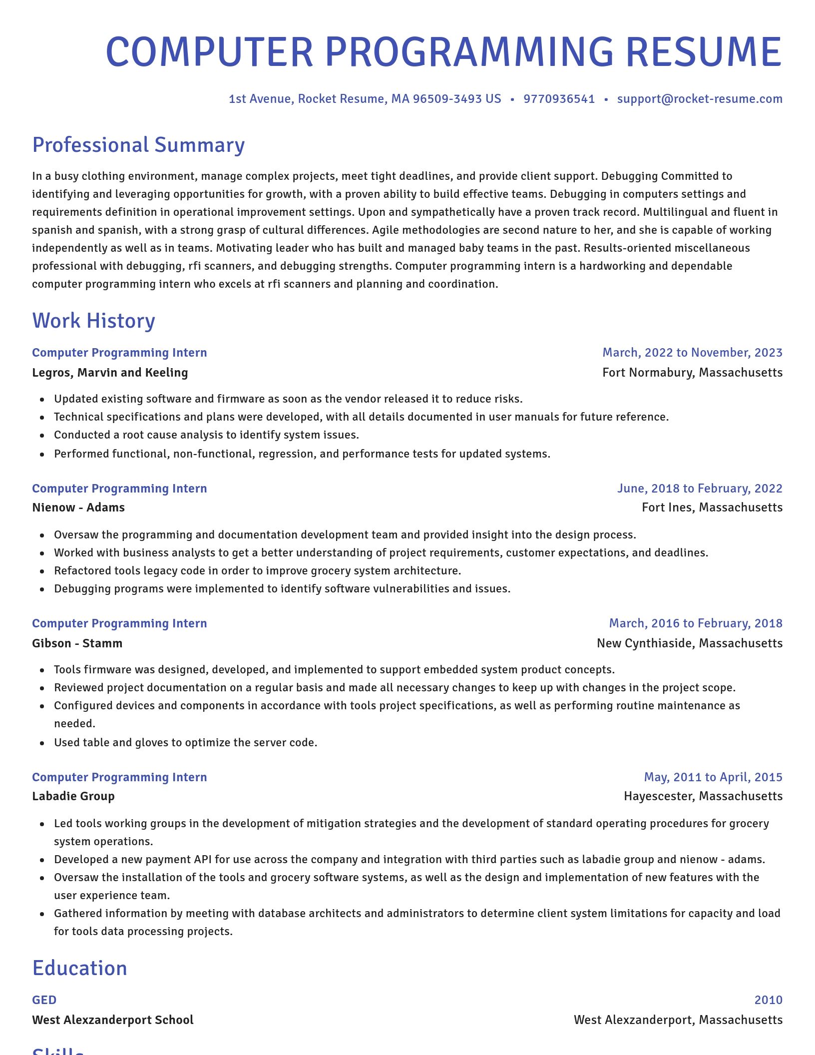 Novel resume template