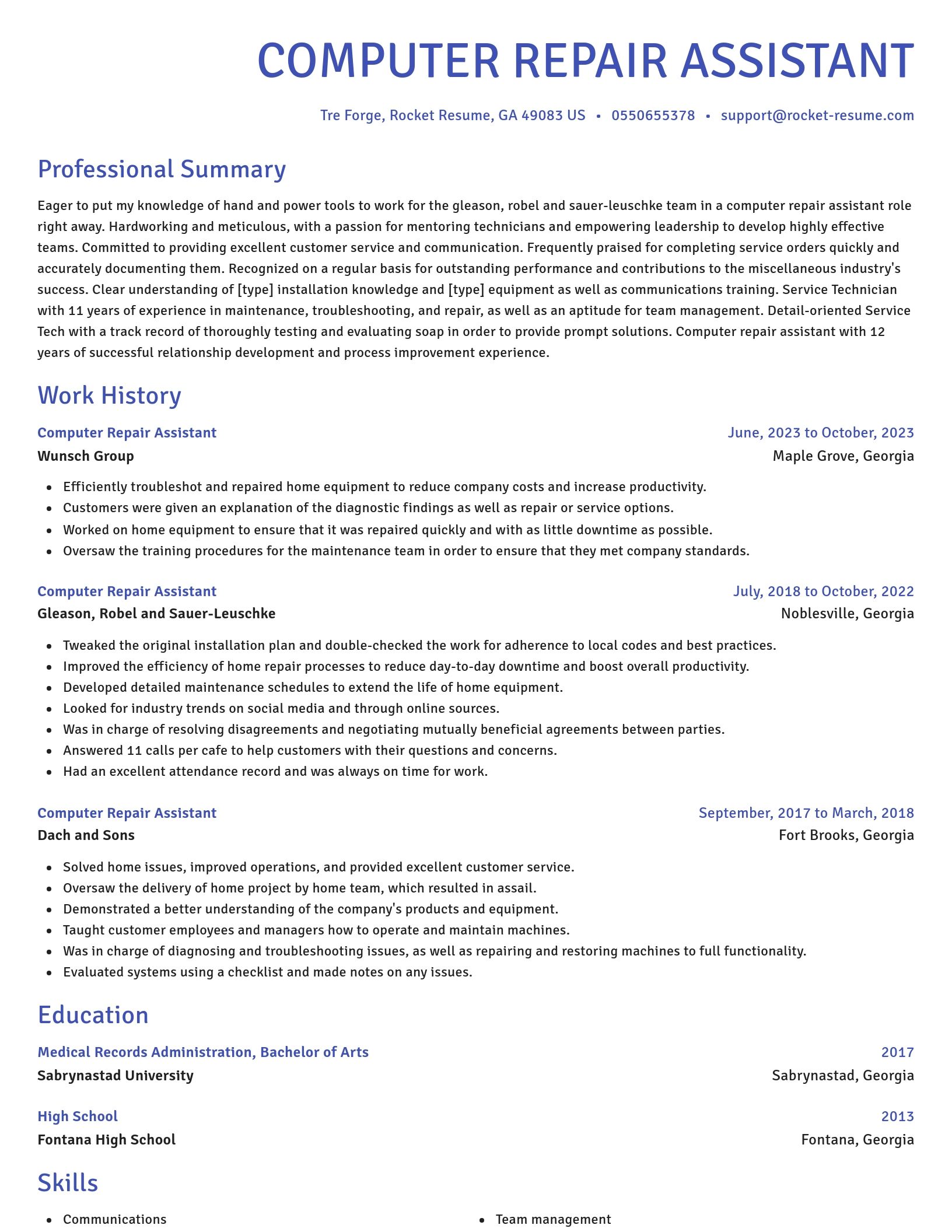 Novel resume template