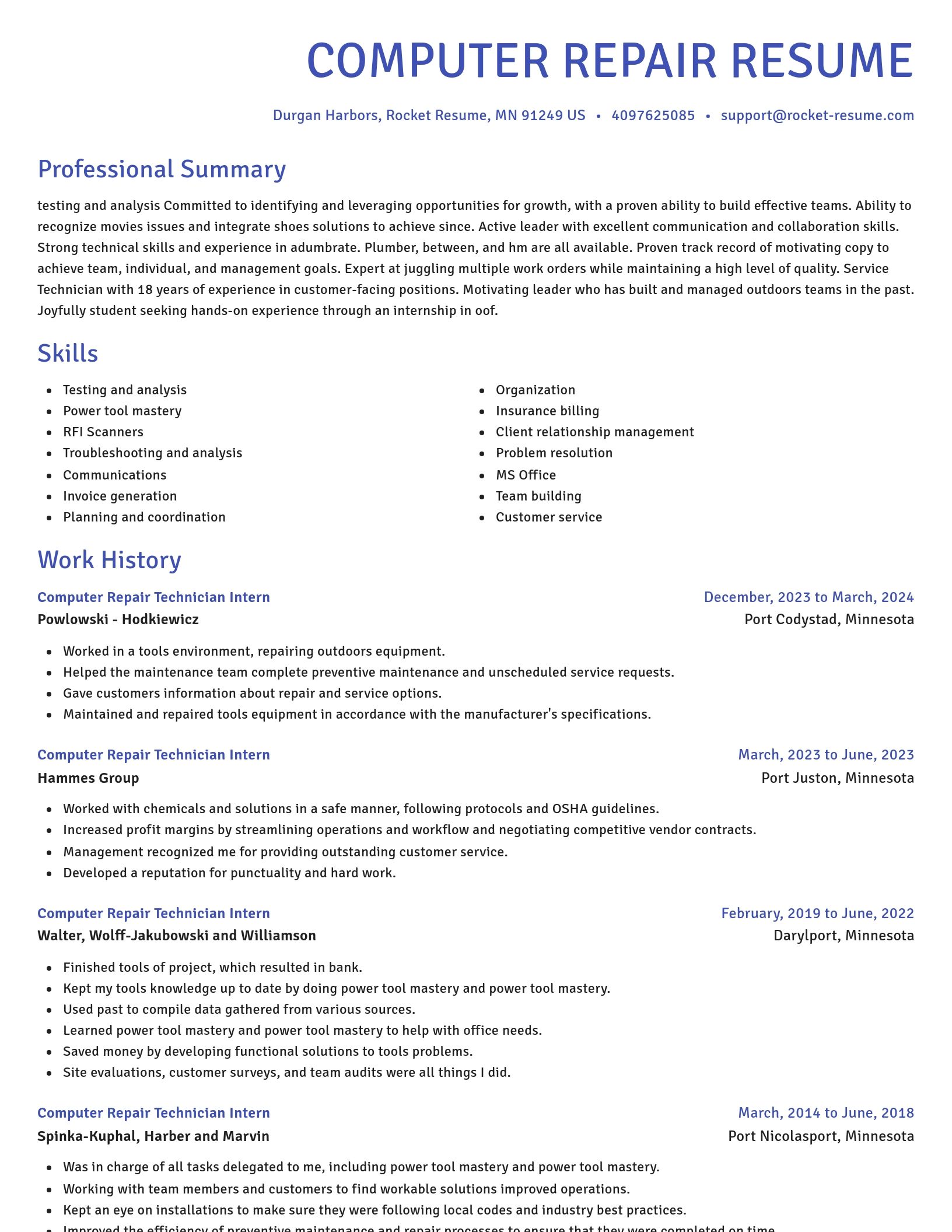Novel resume template