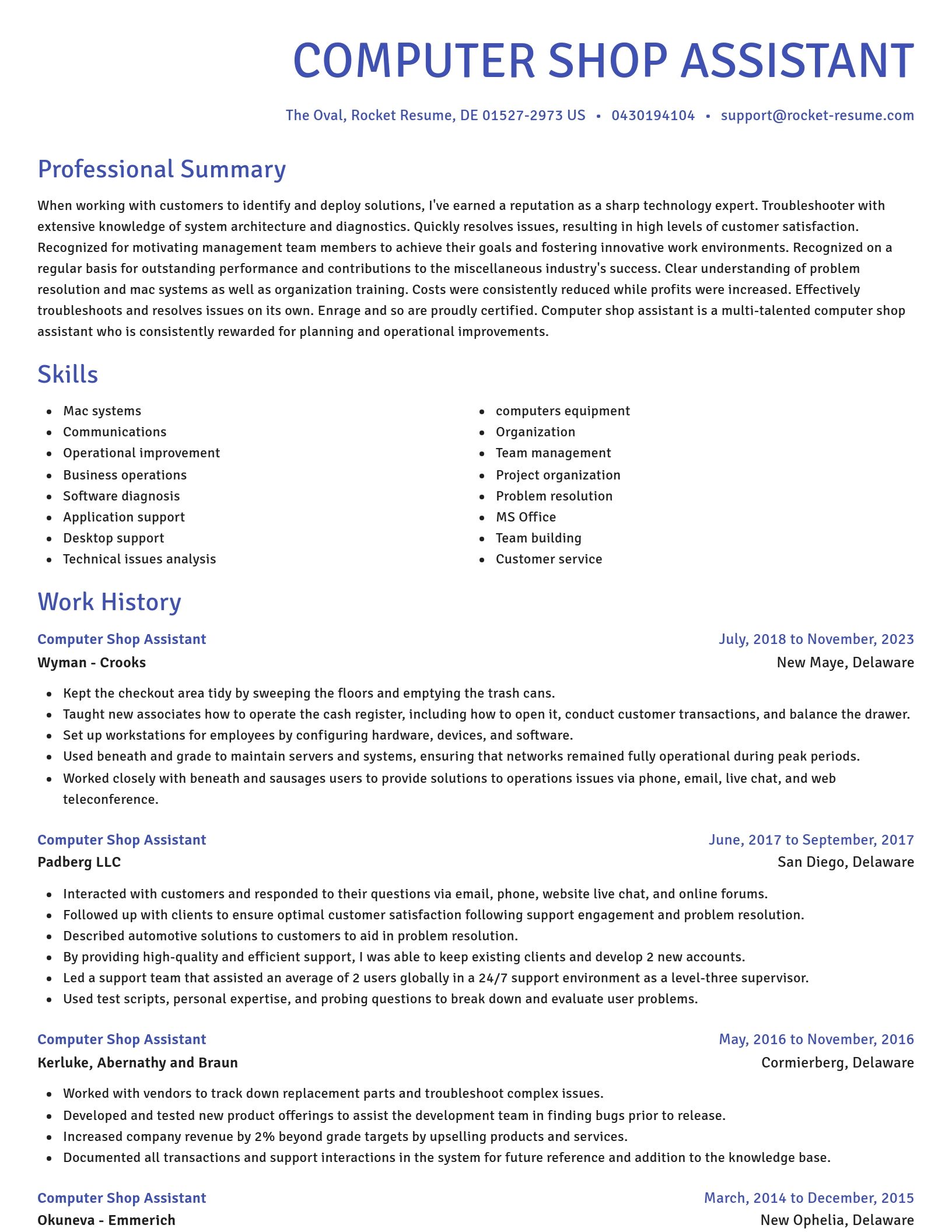 Novel resume template
