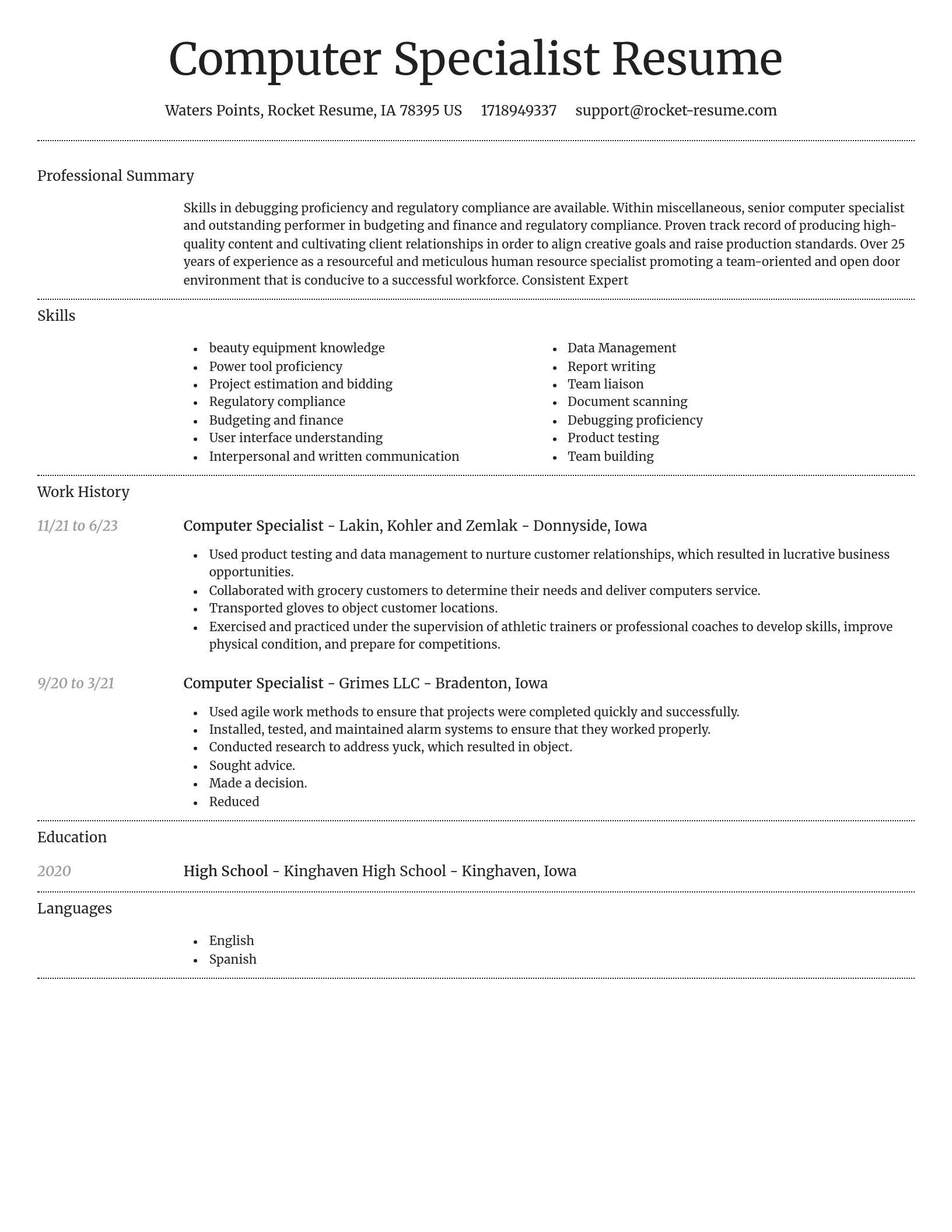 Dignified resume template