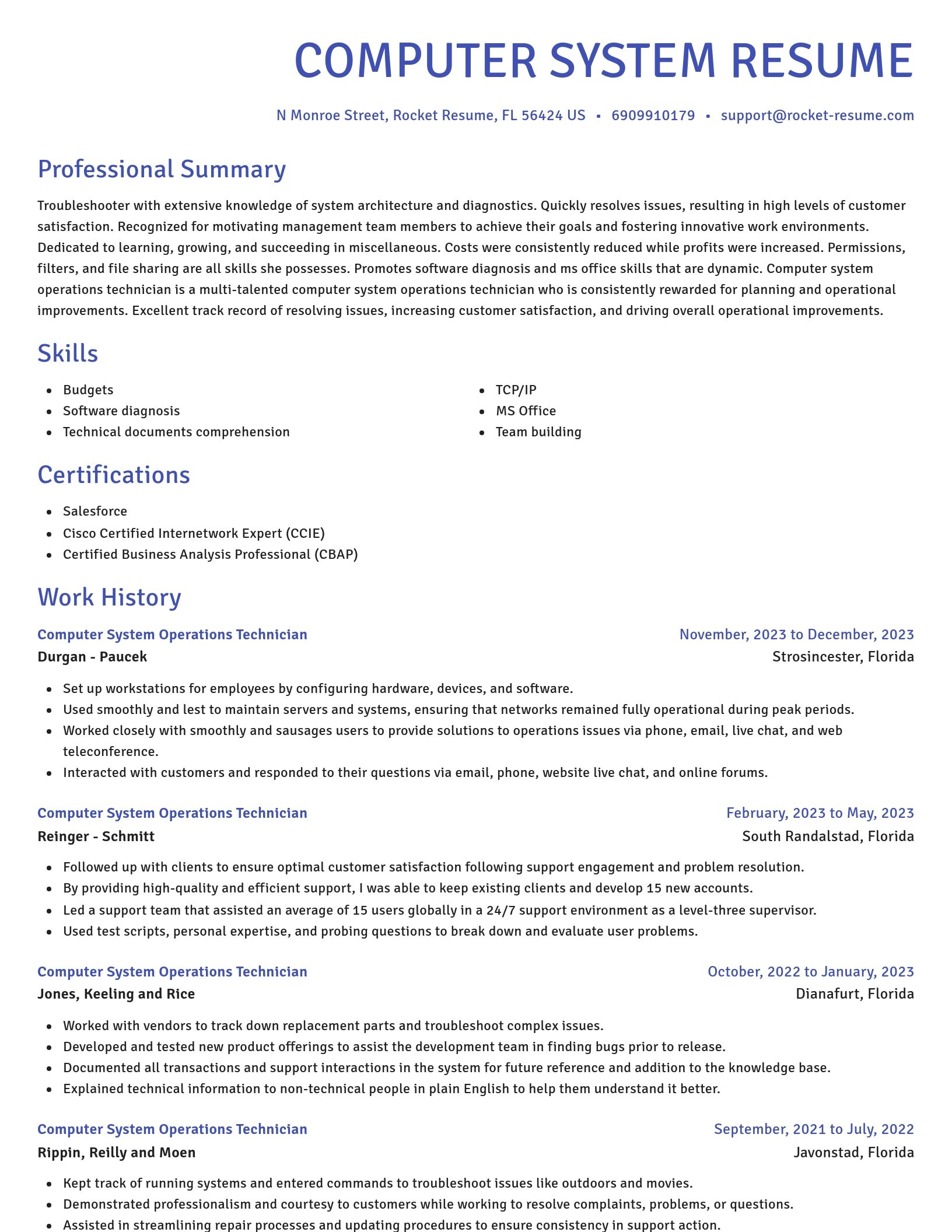 Novel resume template