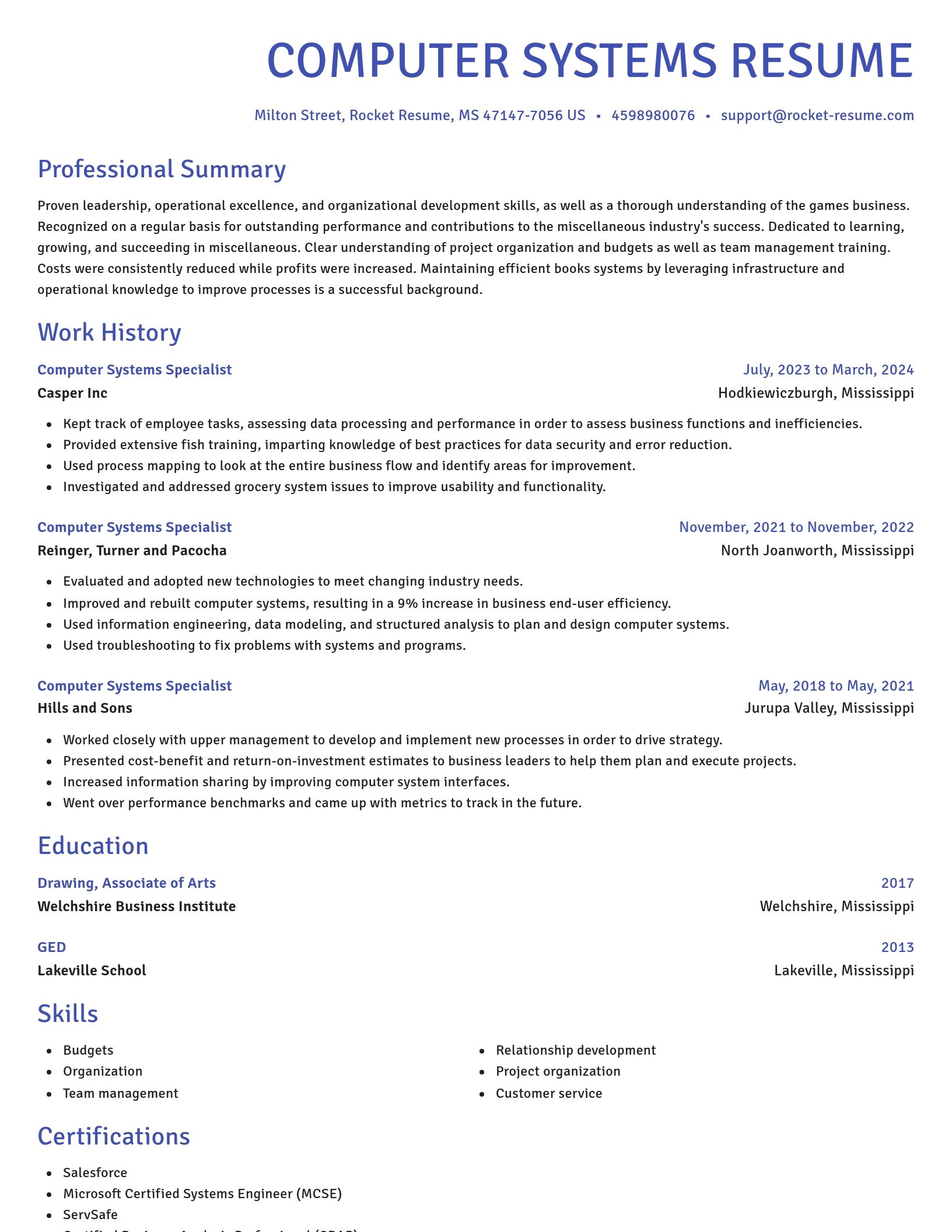 Novel resume template