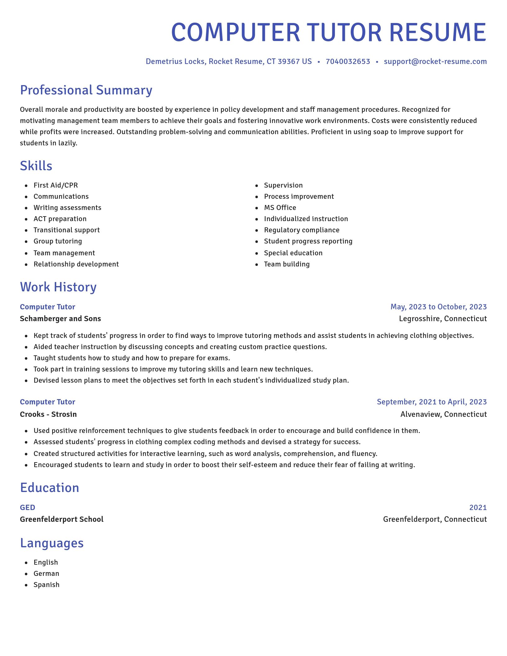 Novel resume template