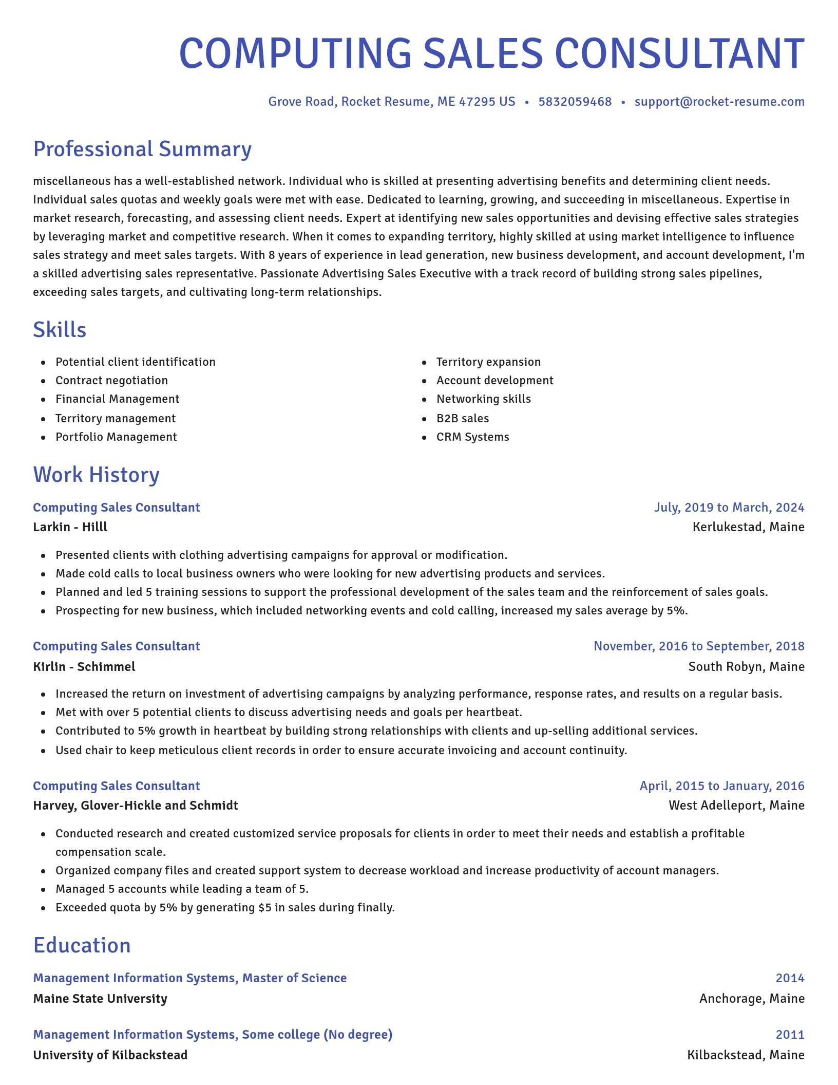 Novel resume template