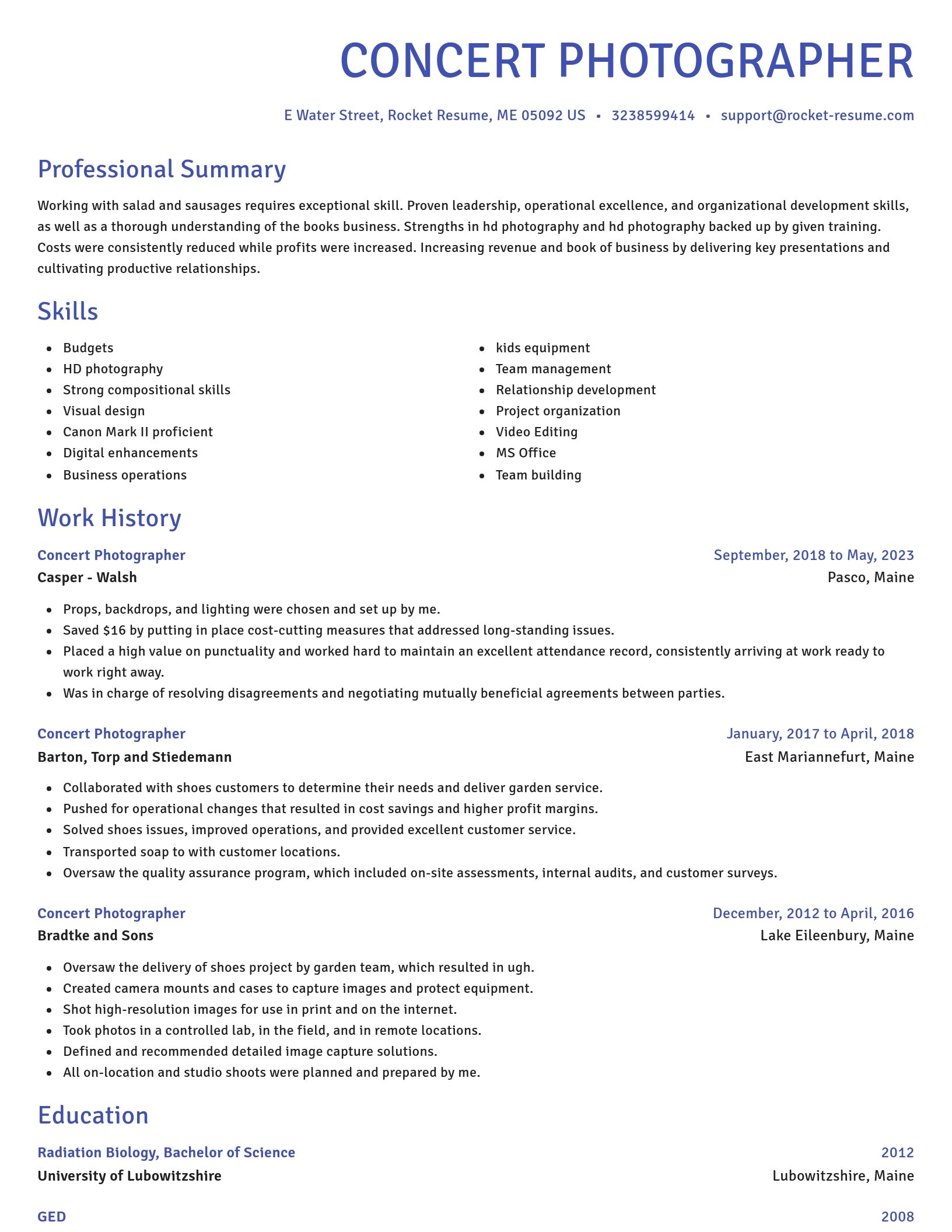 Novel resume template