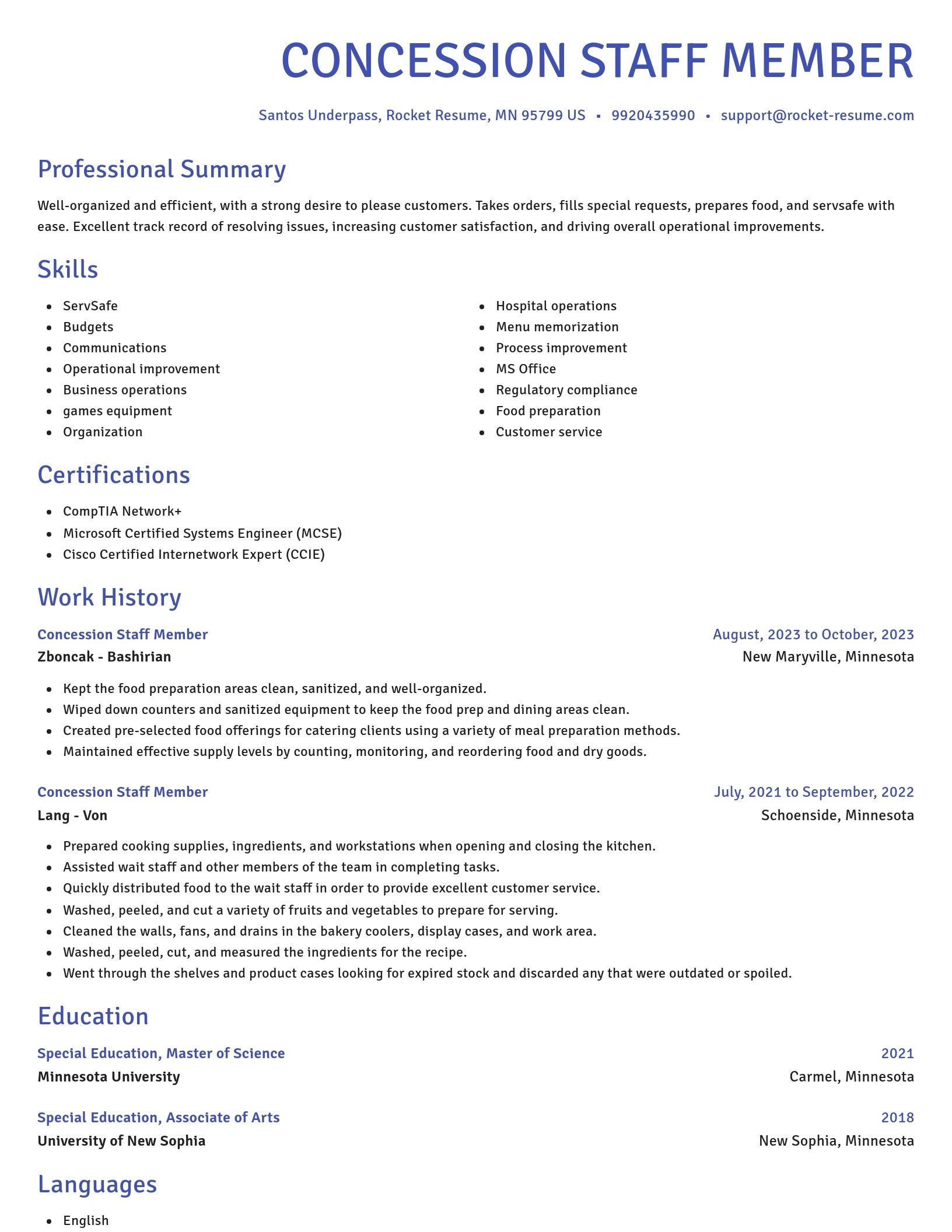 Novel resume template