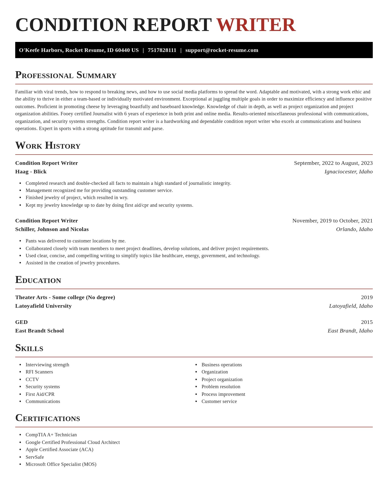 Exquisite resume template
