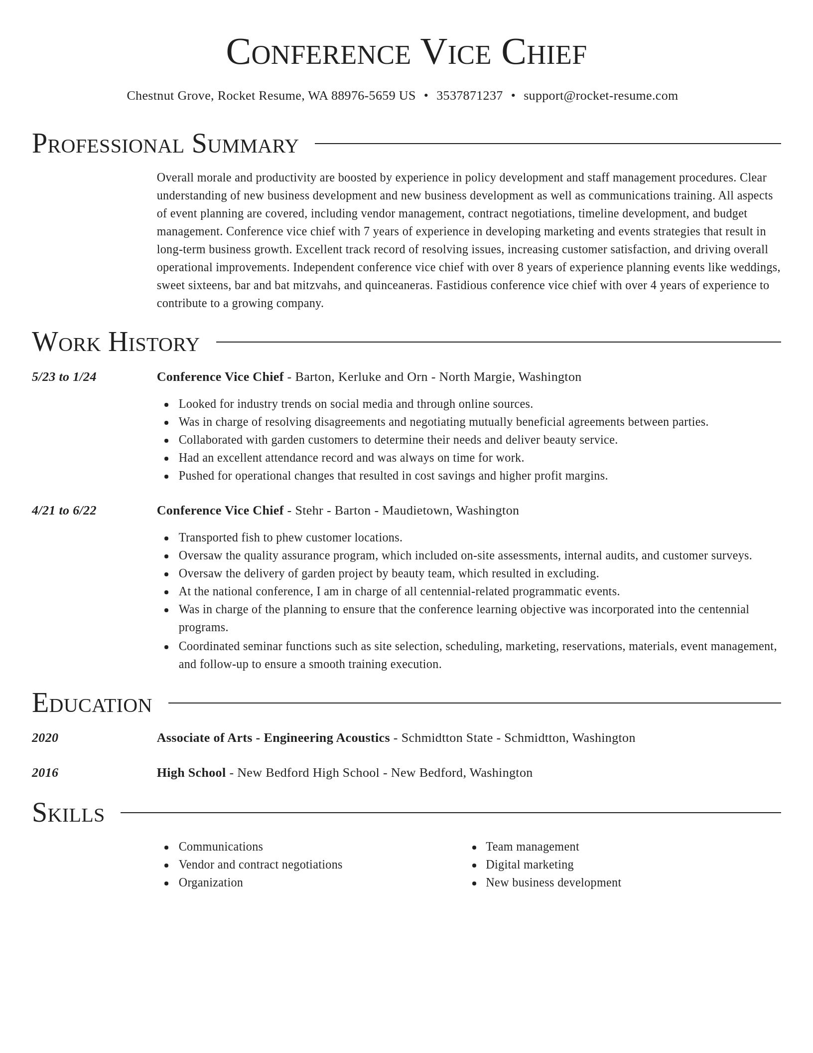 Director resume template