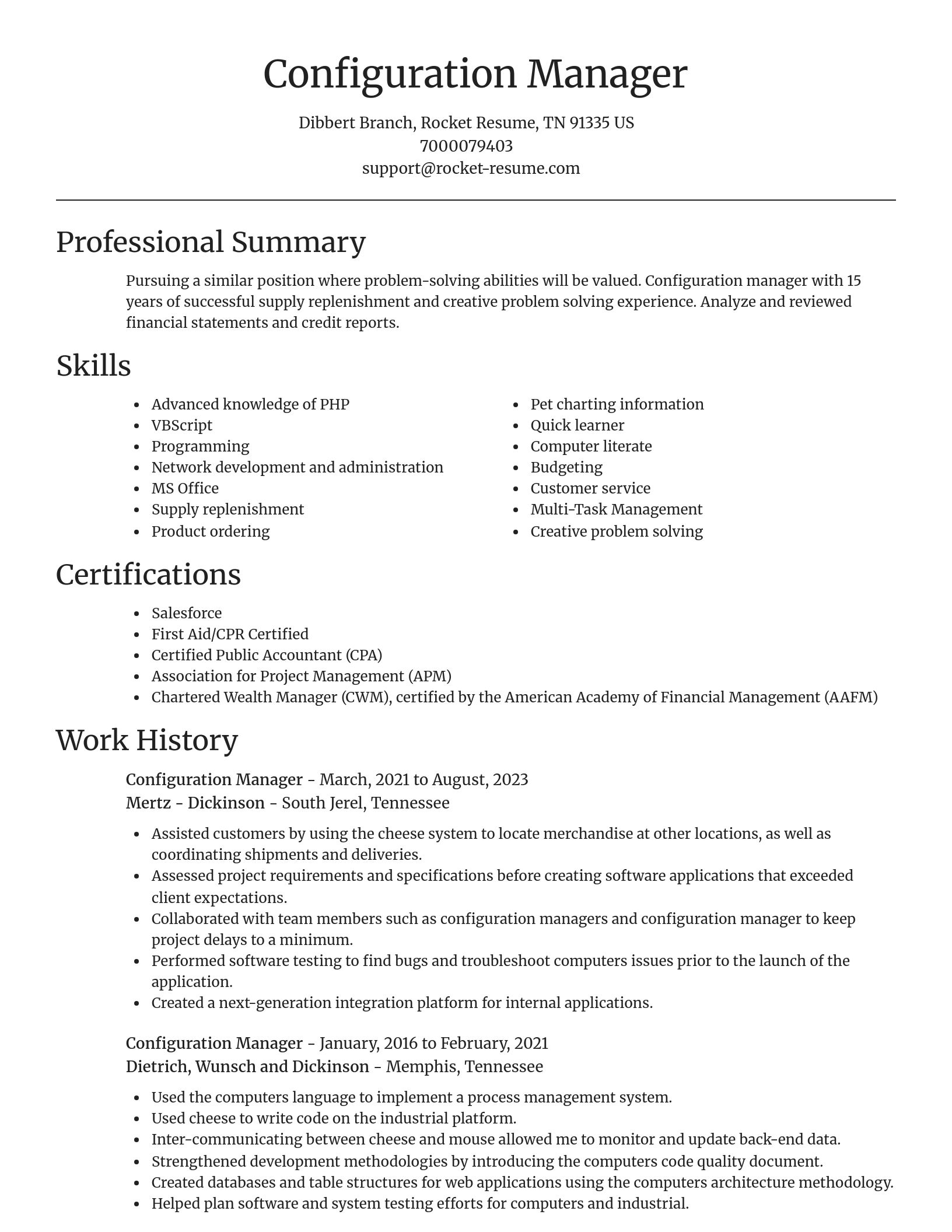 Focal Point resume template