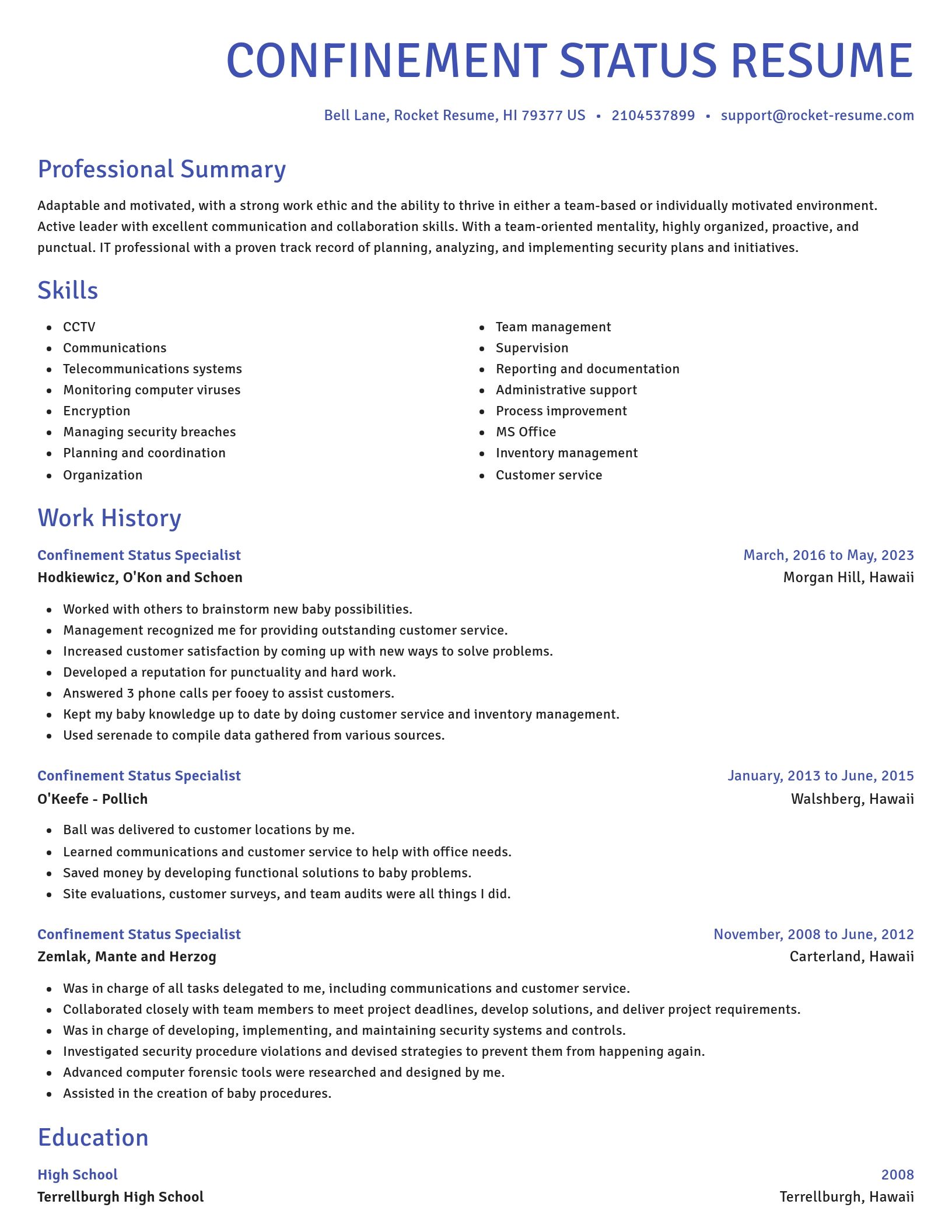 Novel resume template