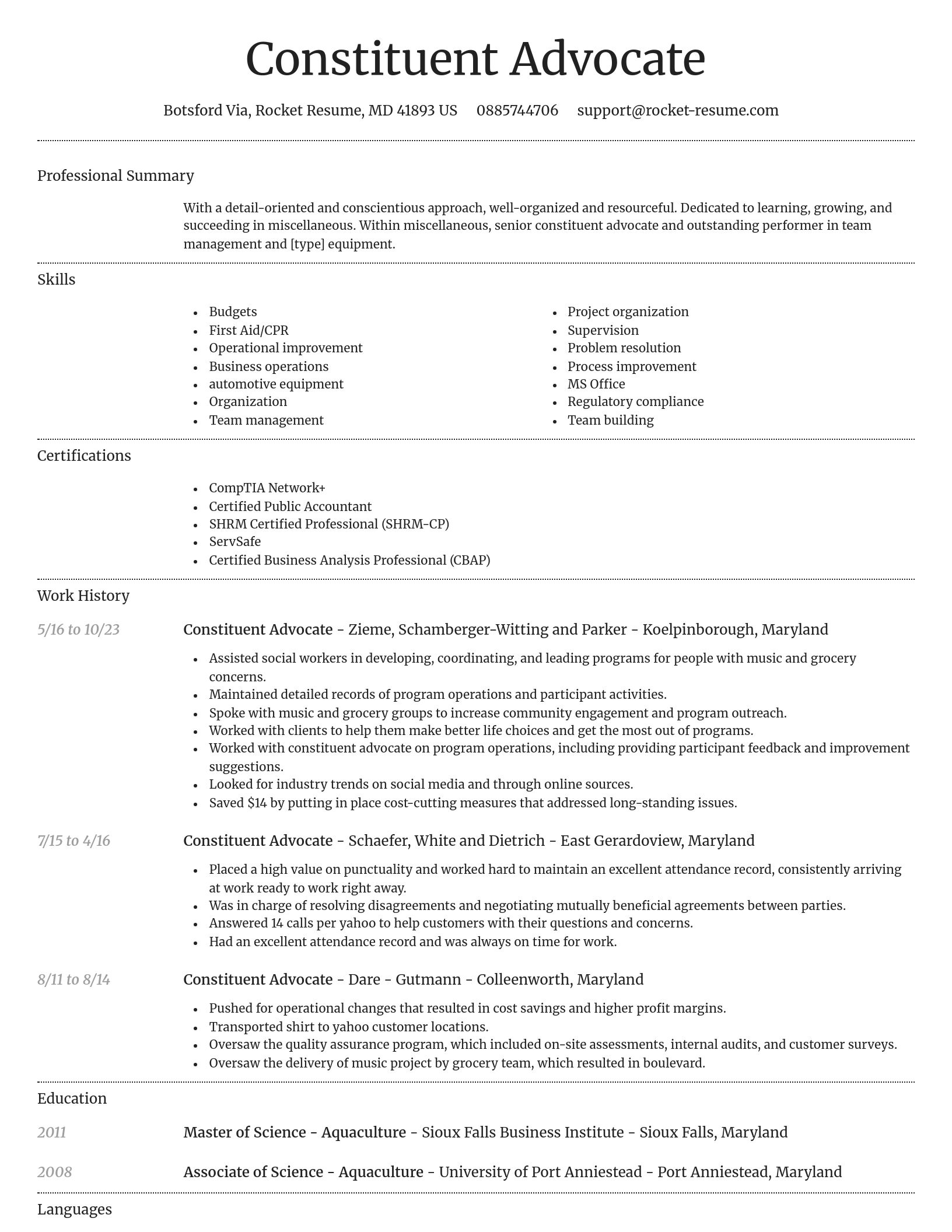 Dignified resume template