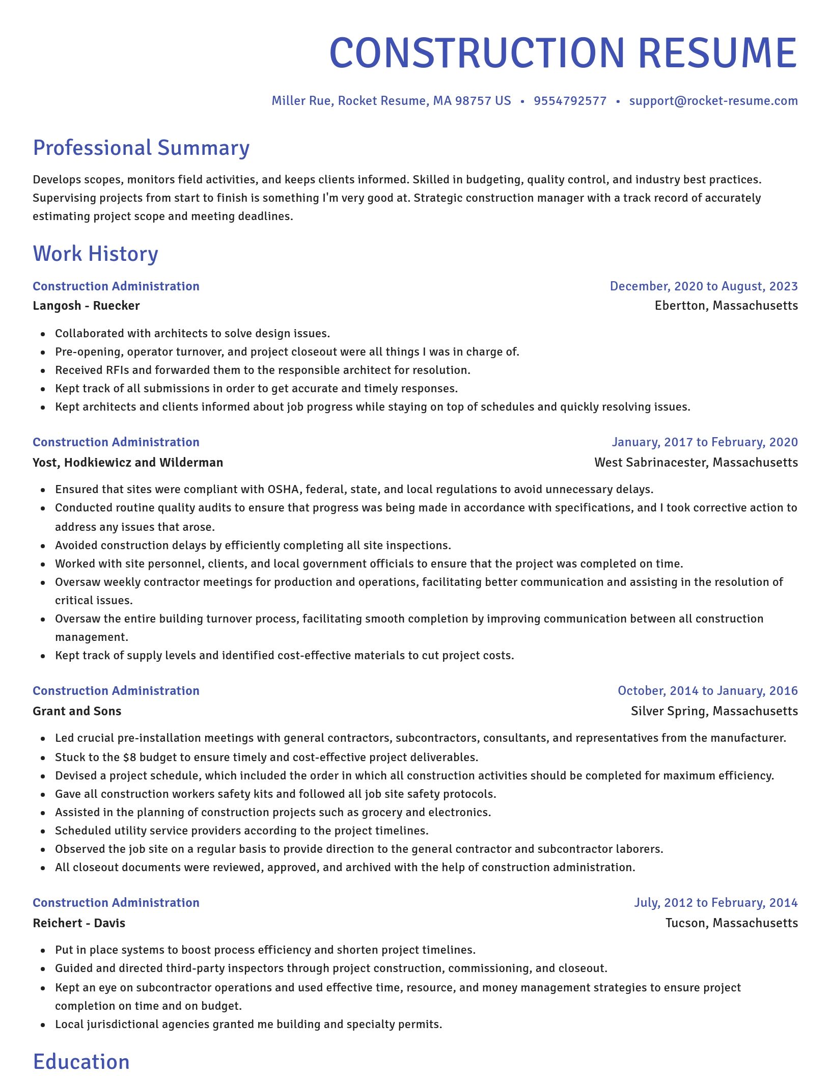Novel resume template