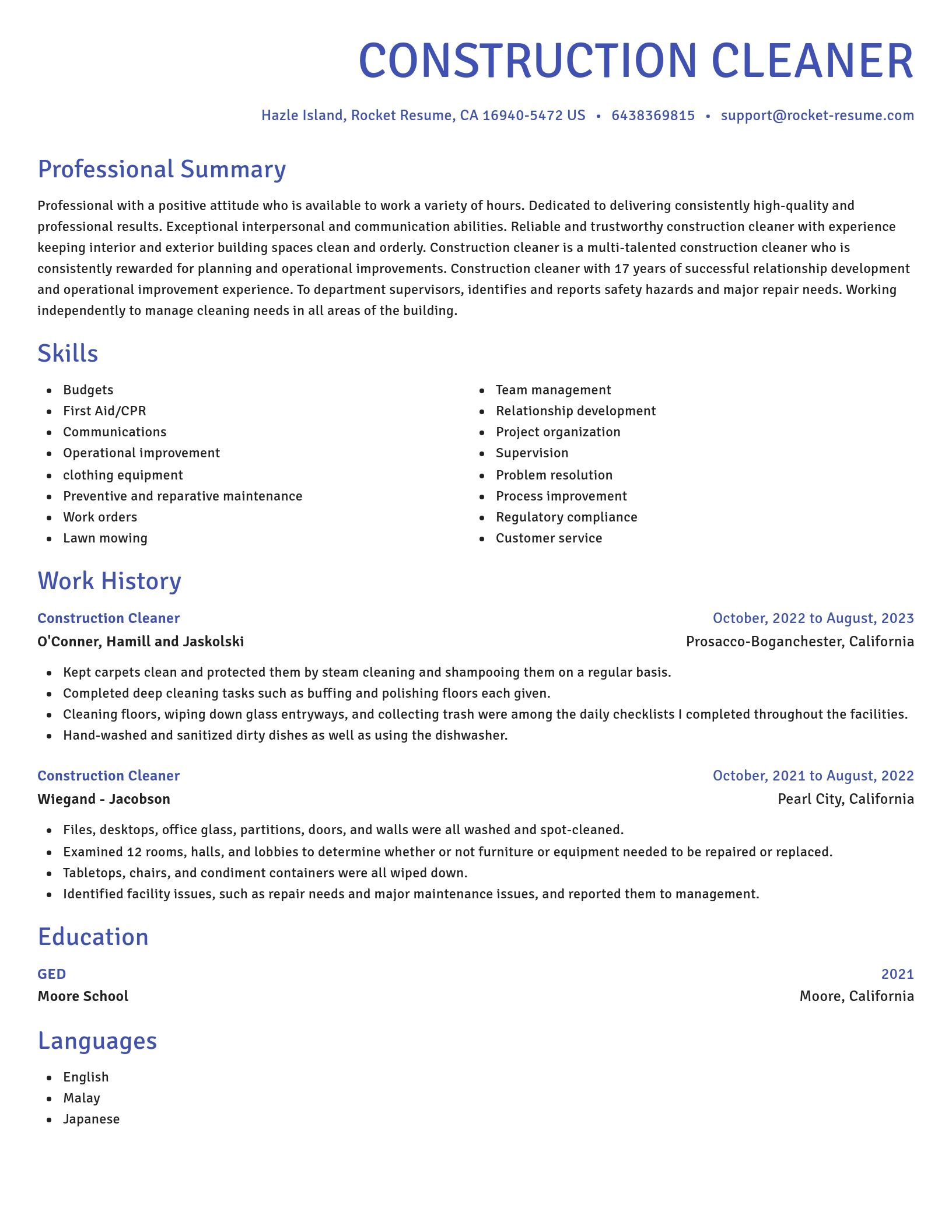 Novel resume template