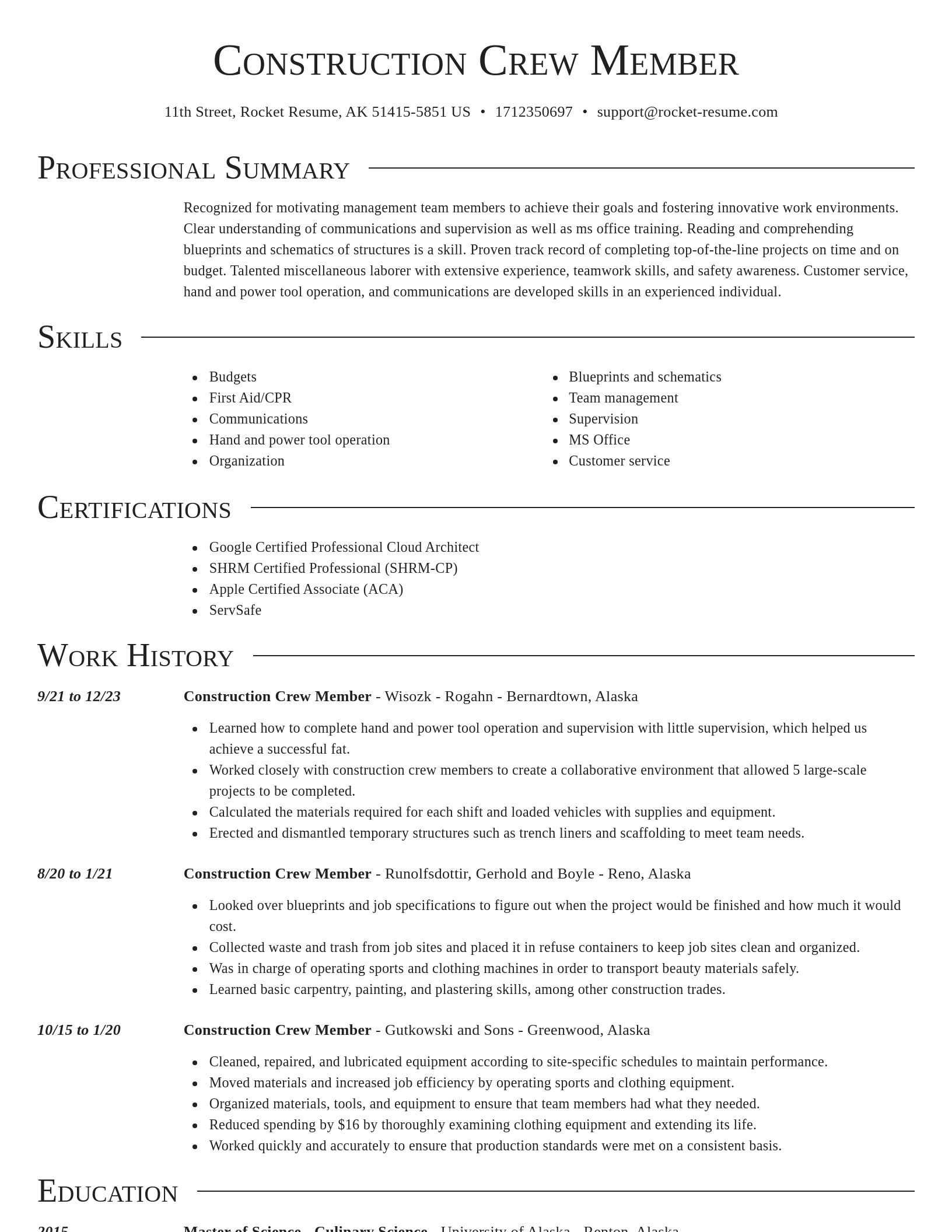 Director resume template