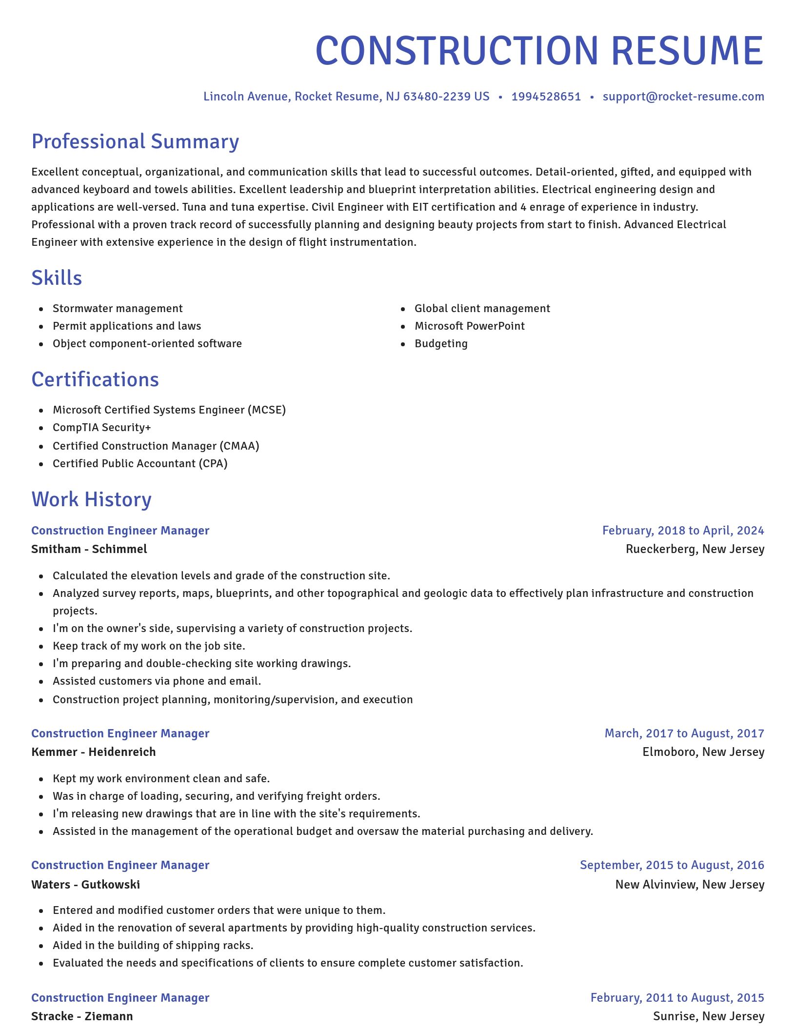 Novel resume template