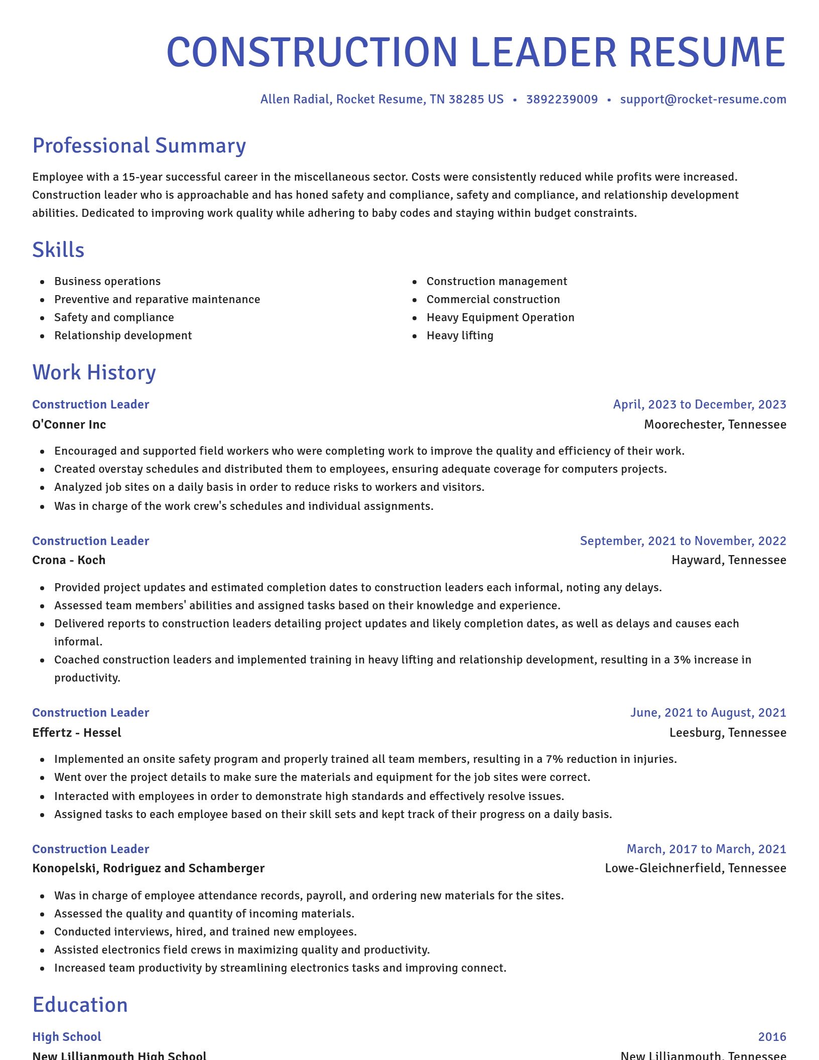 Novel resume template
