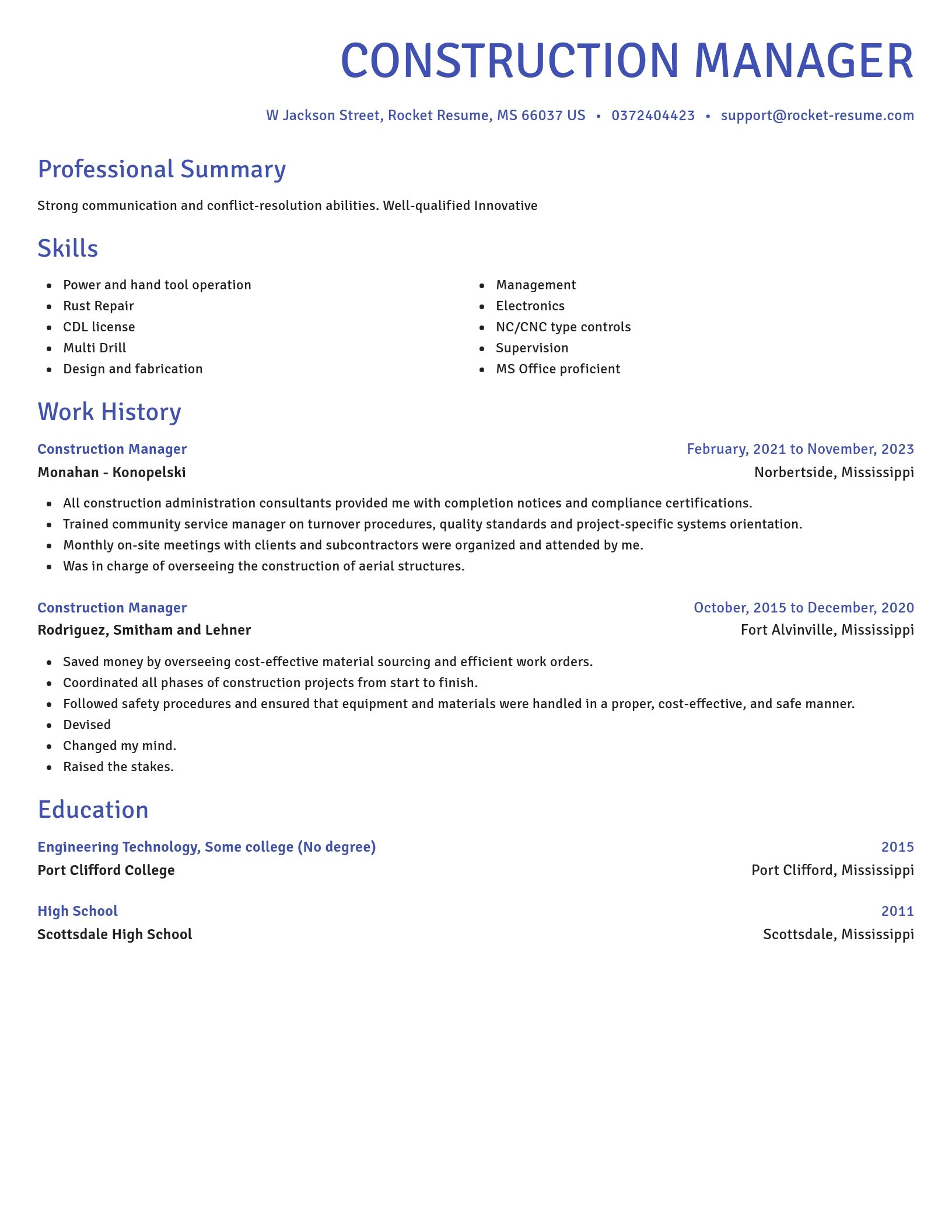 Novel resume template