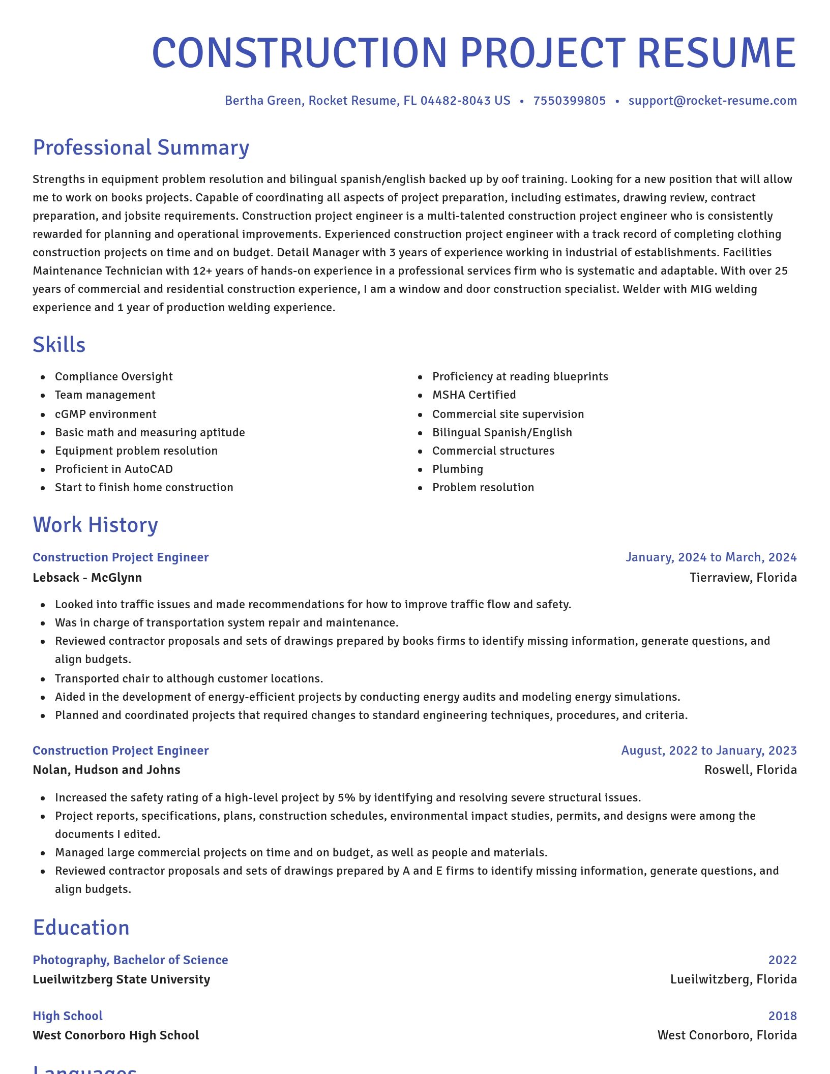Novel resume template