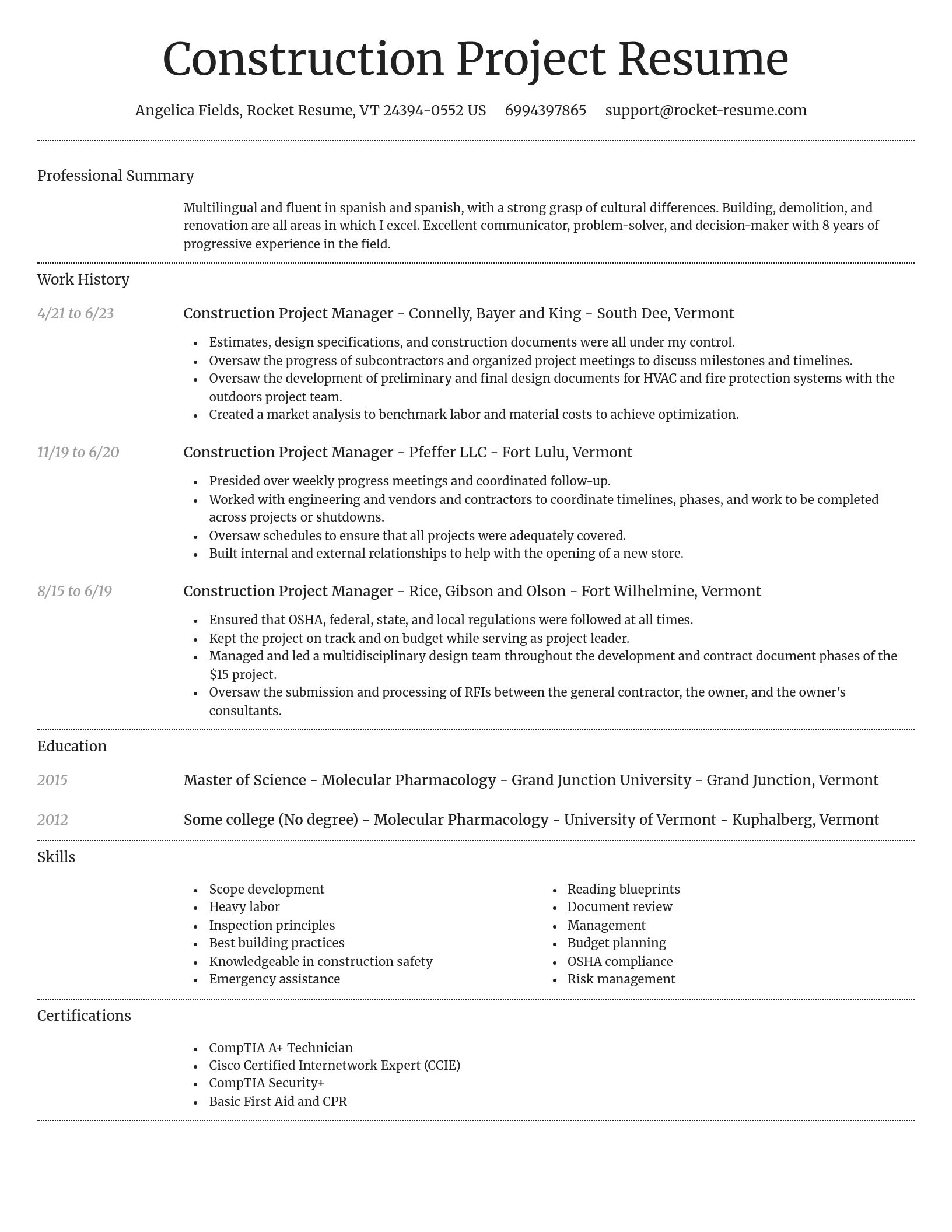 Dignified resume template