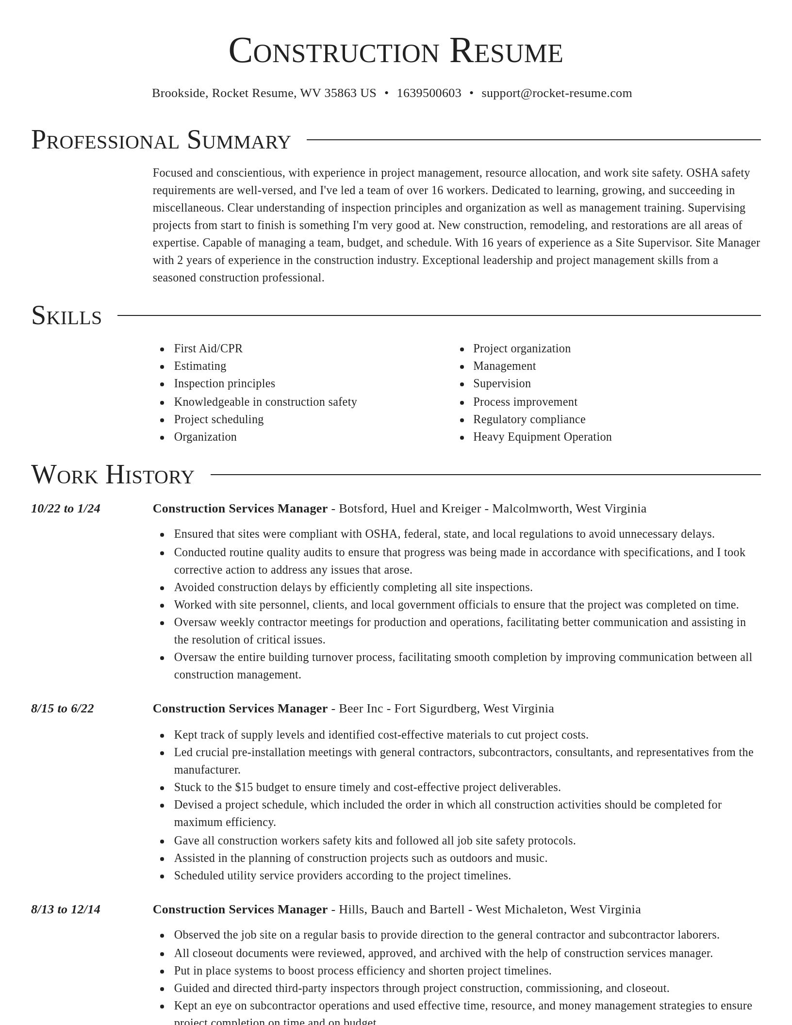 Director resume template