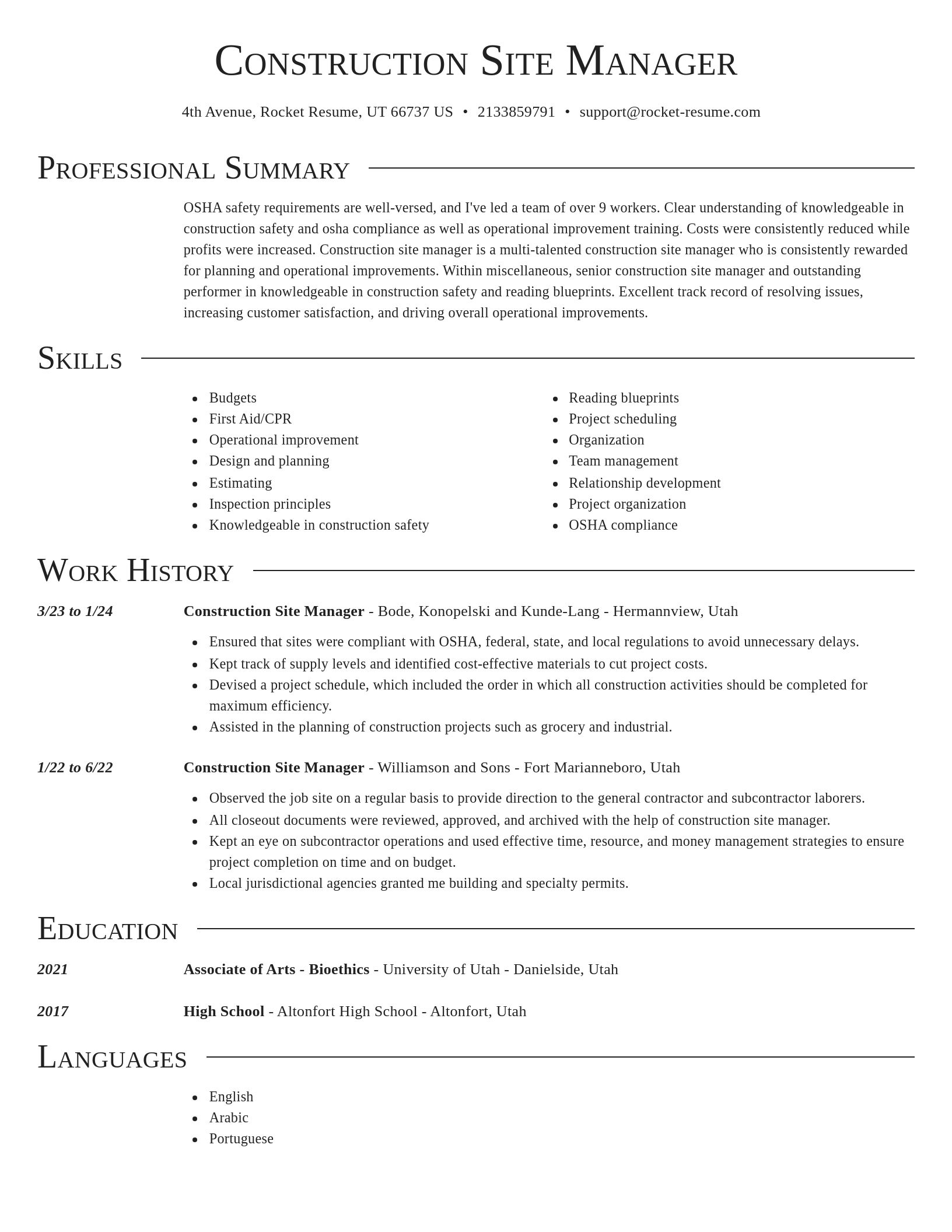 Director resume template