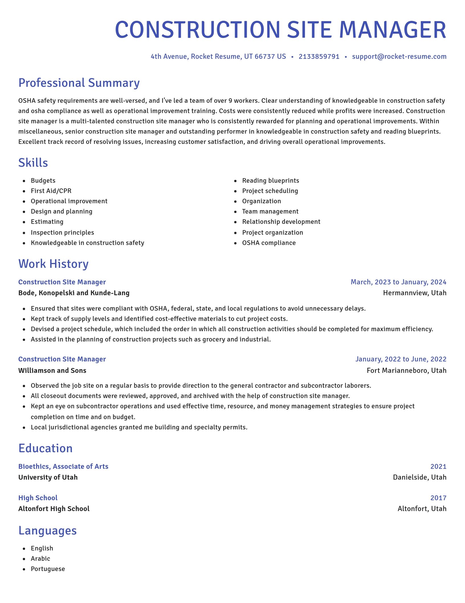 Novel resume template