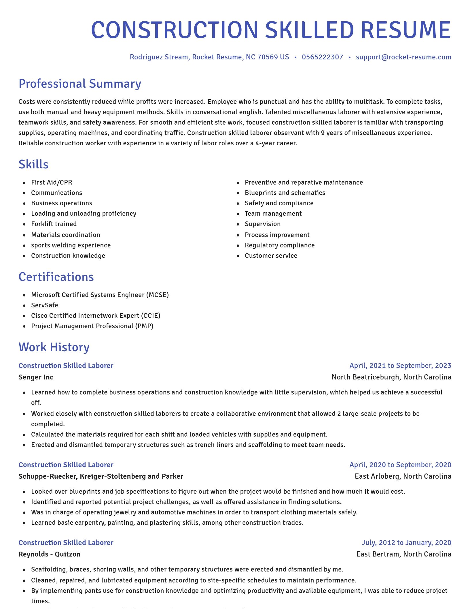 Novel resume template