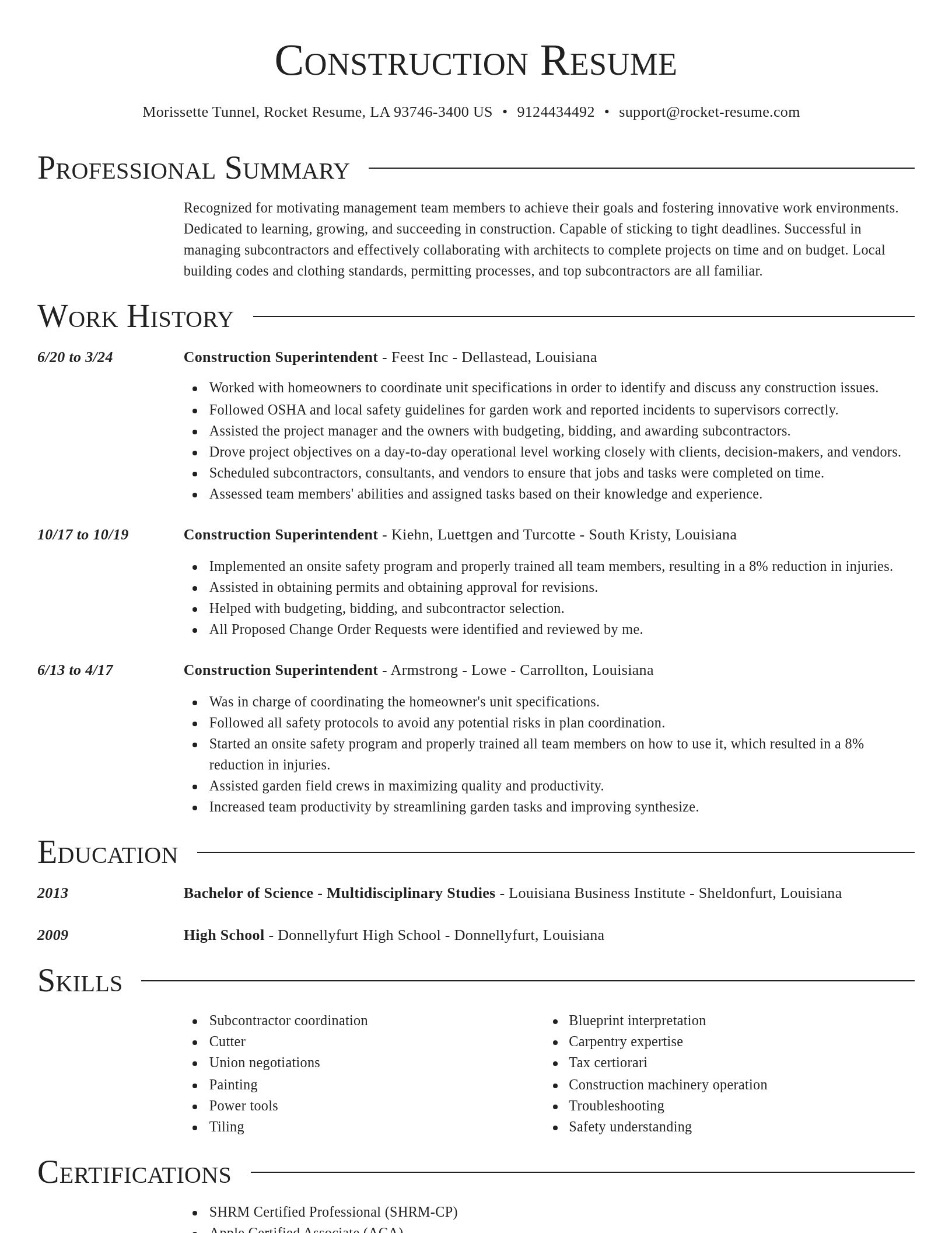 Director resume template