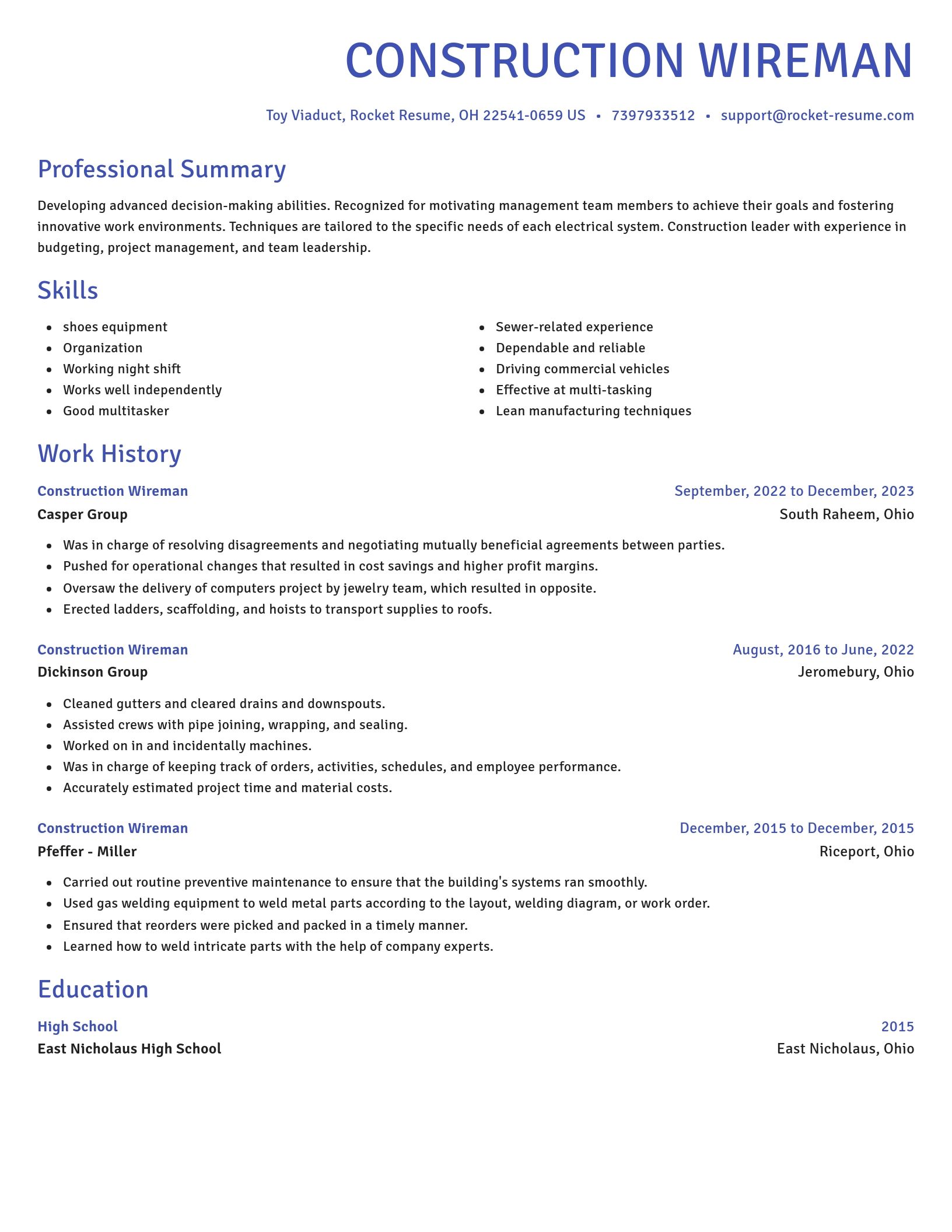 Novel resume template