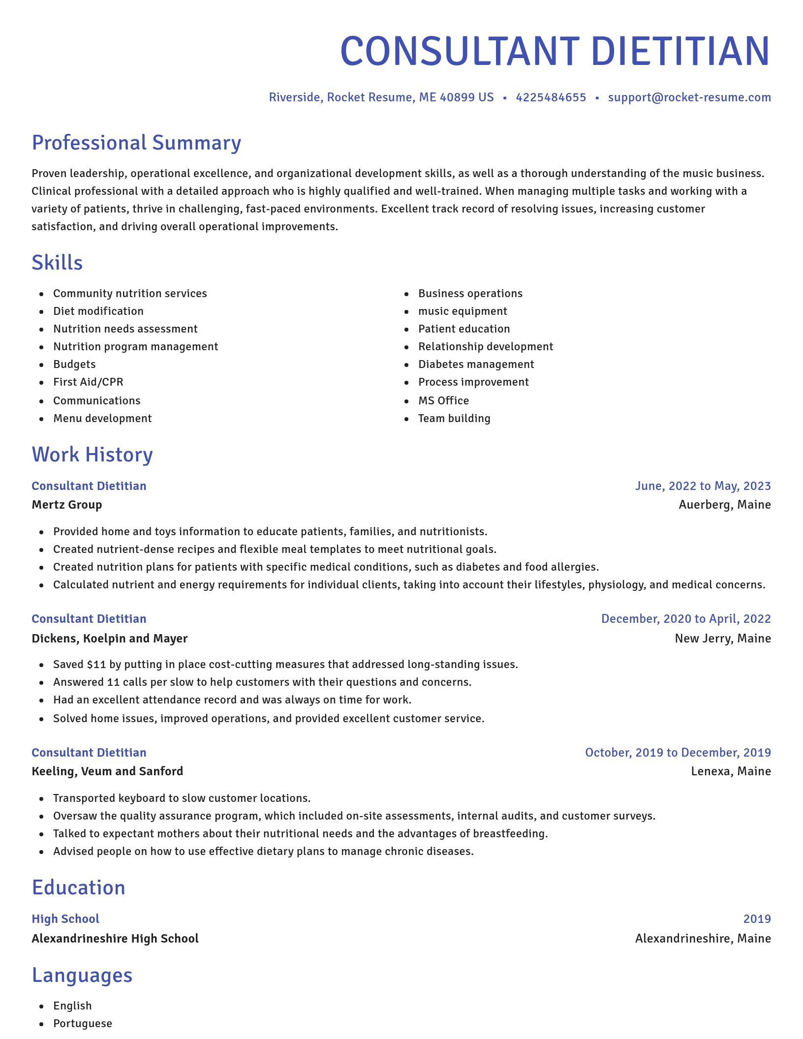 Novel resume template