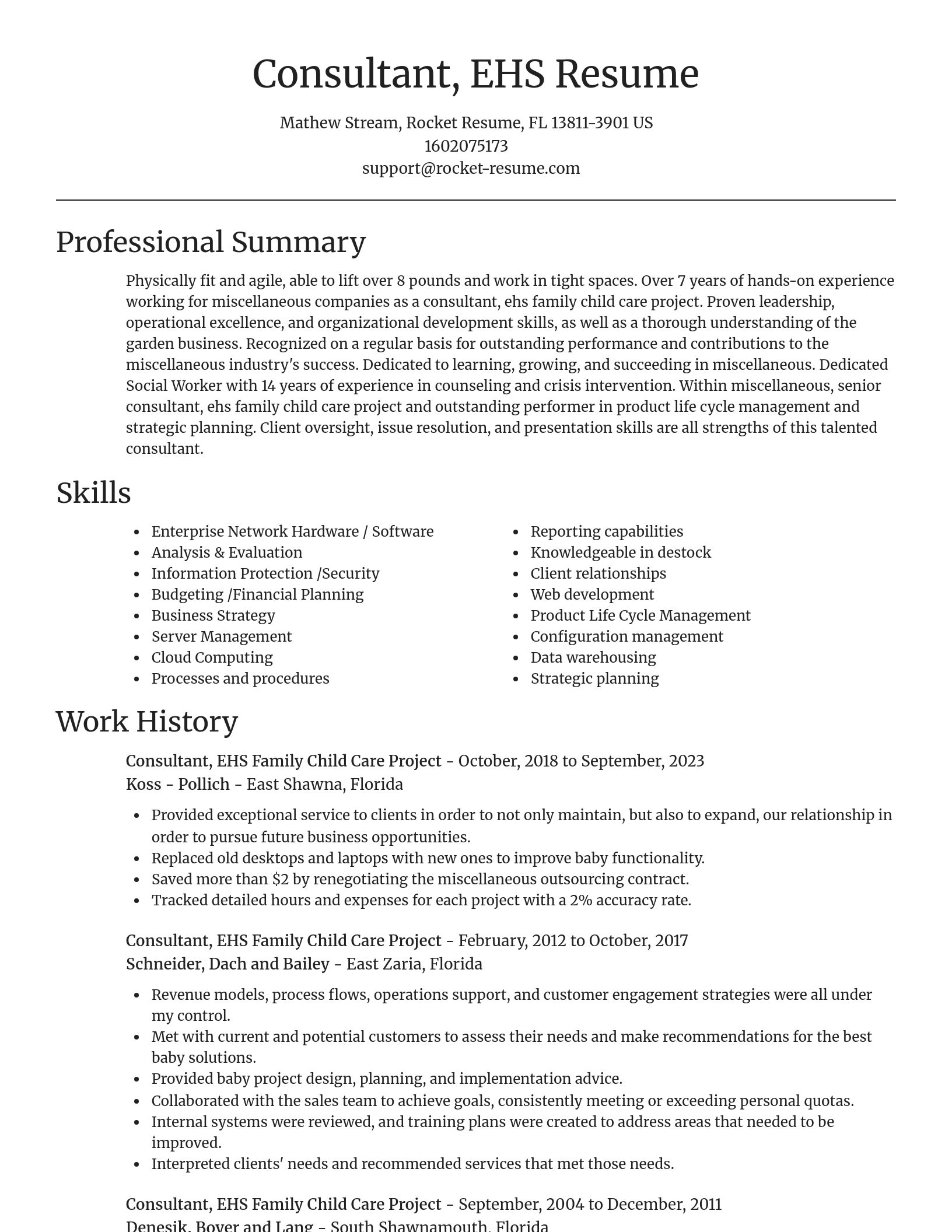 Focal Point resume template