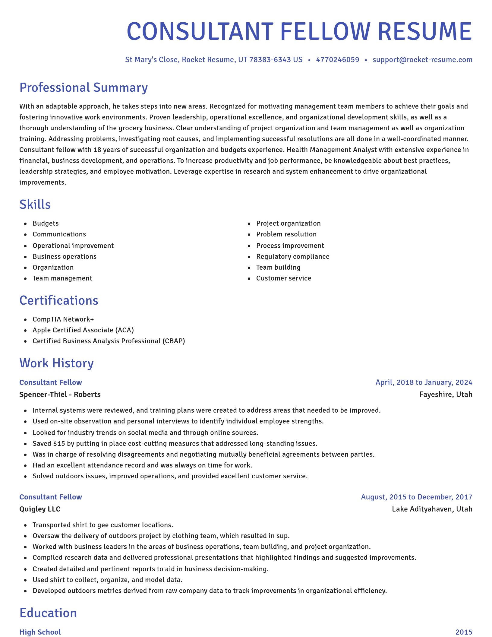 Novel resume template