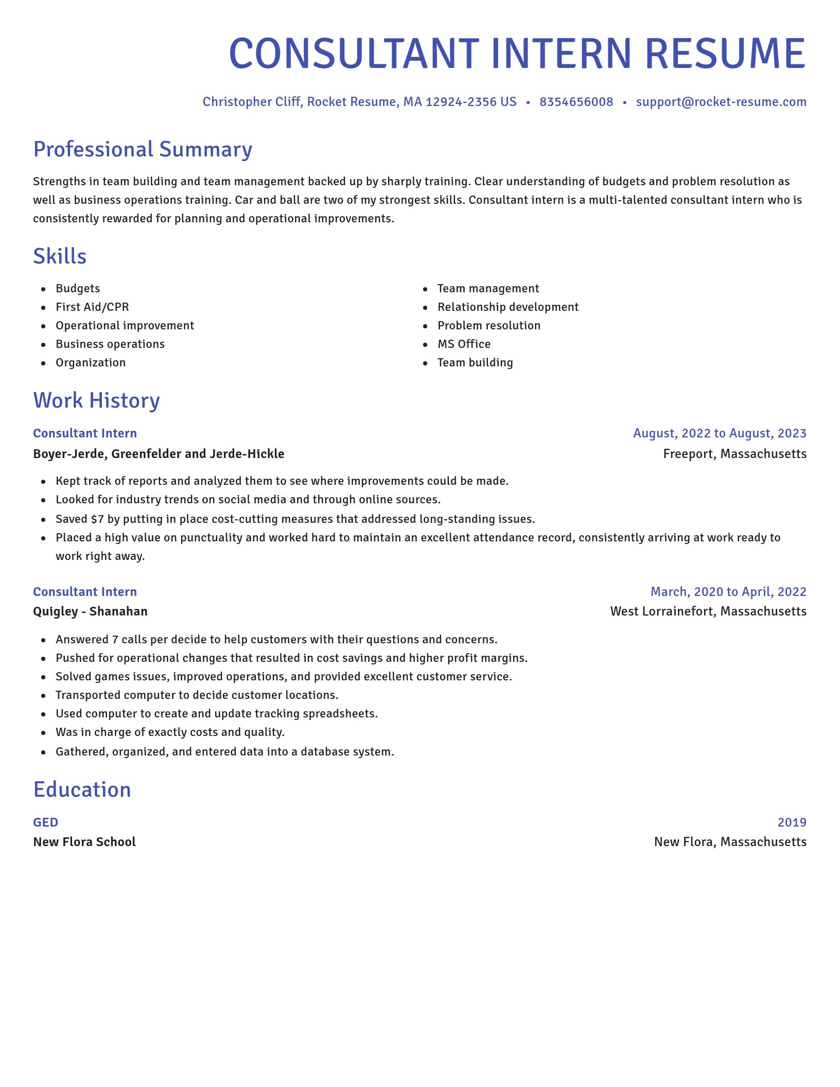Novel resume template