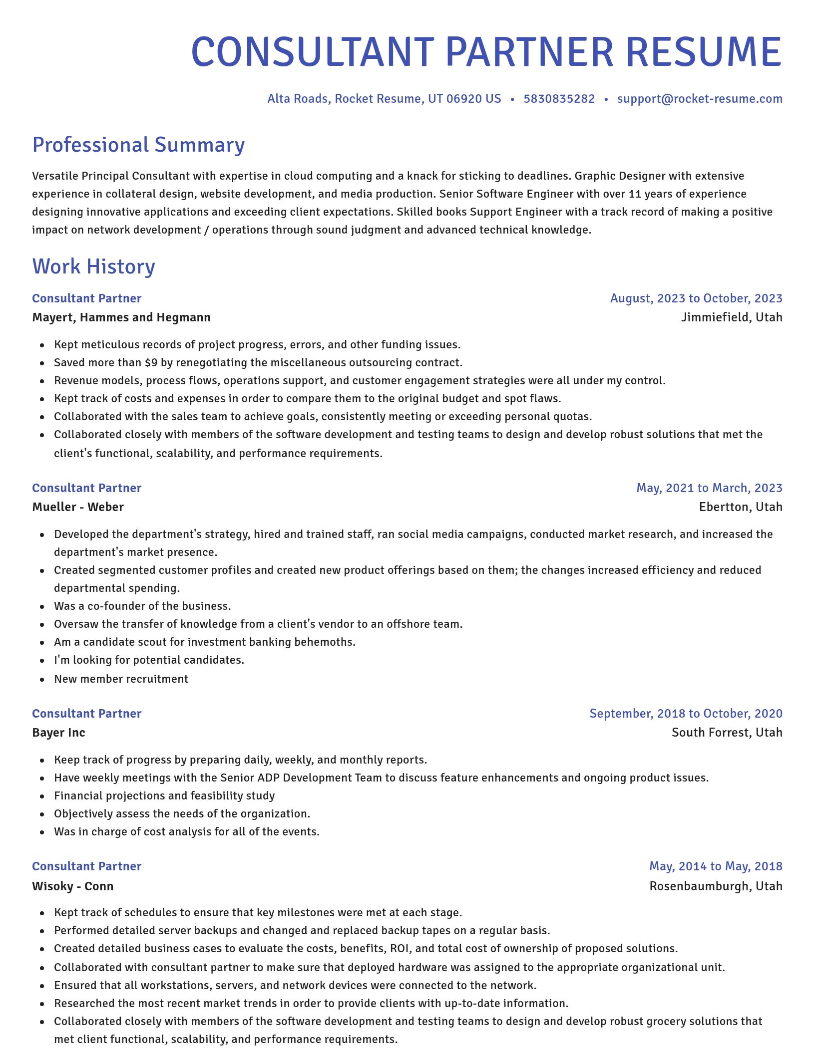 Novel resume template