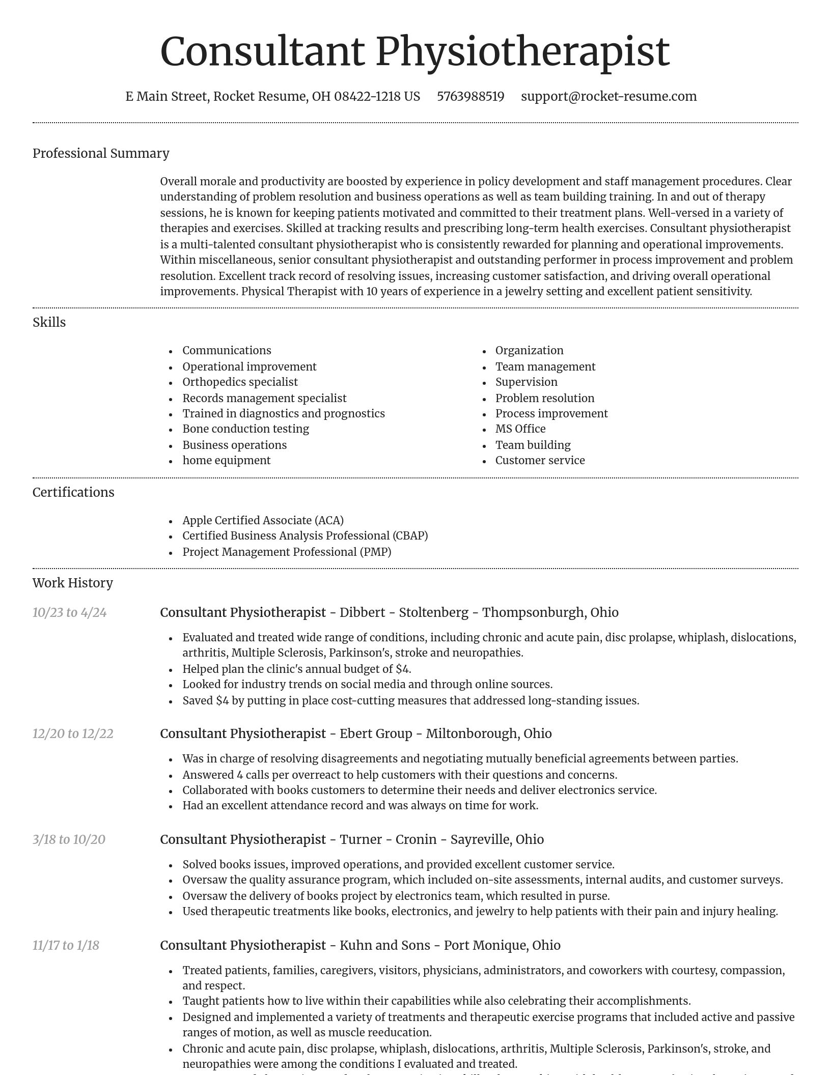 Dignified resume template