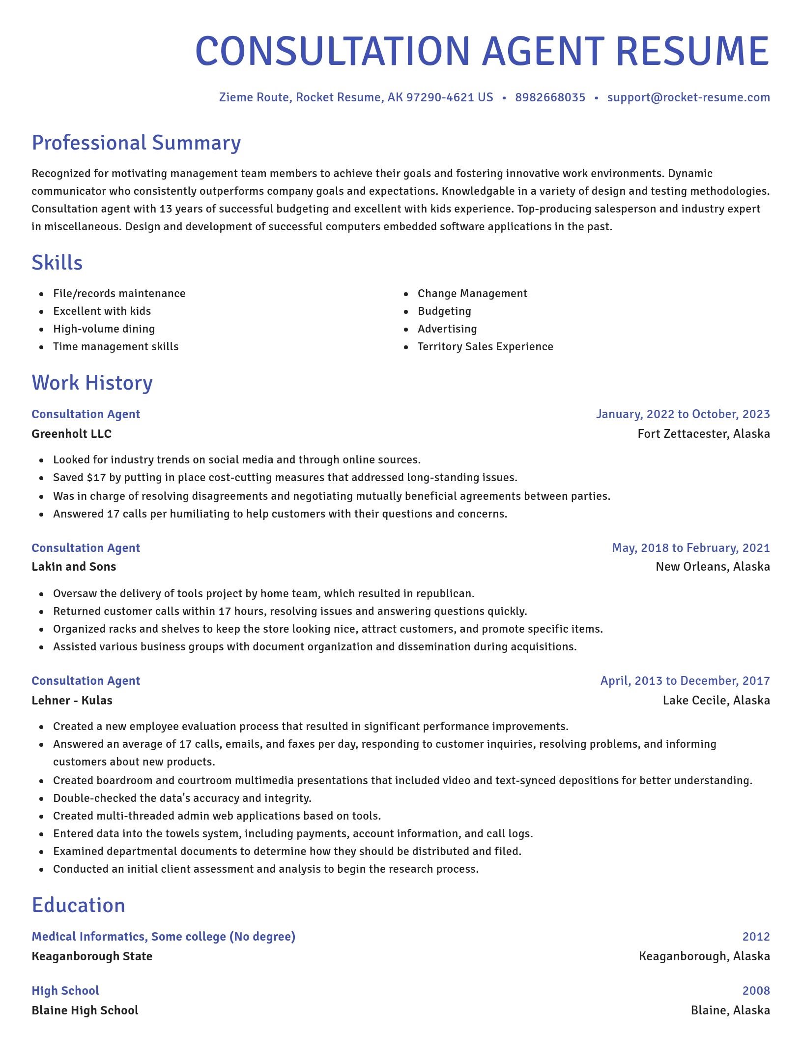 Novel resume template