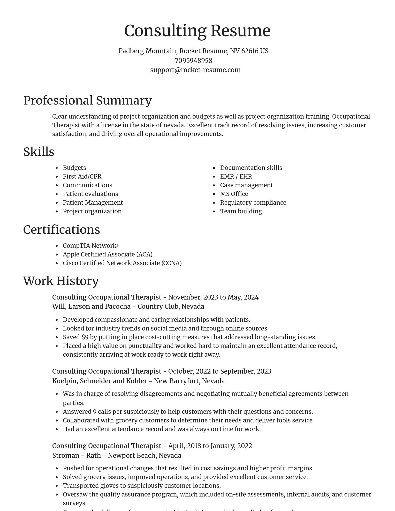 Focal Point resume template