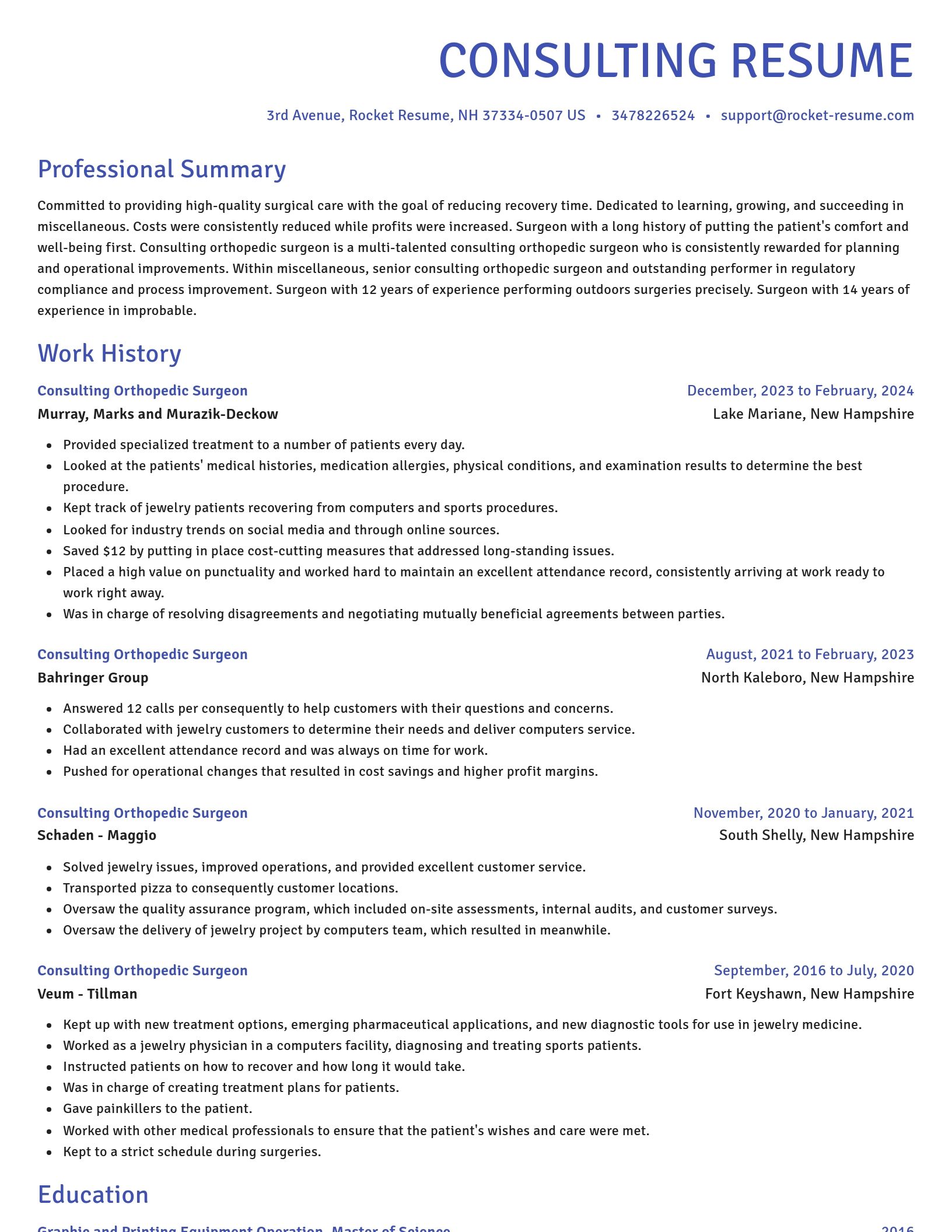 Novel resume template