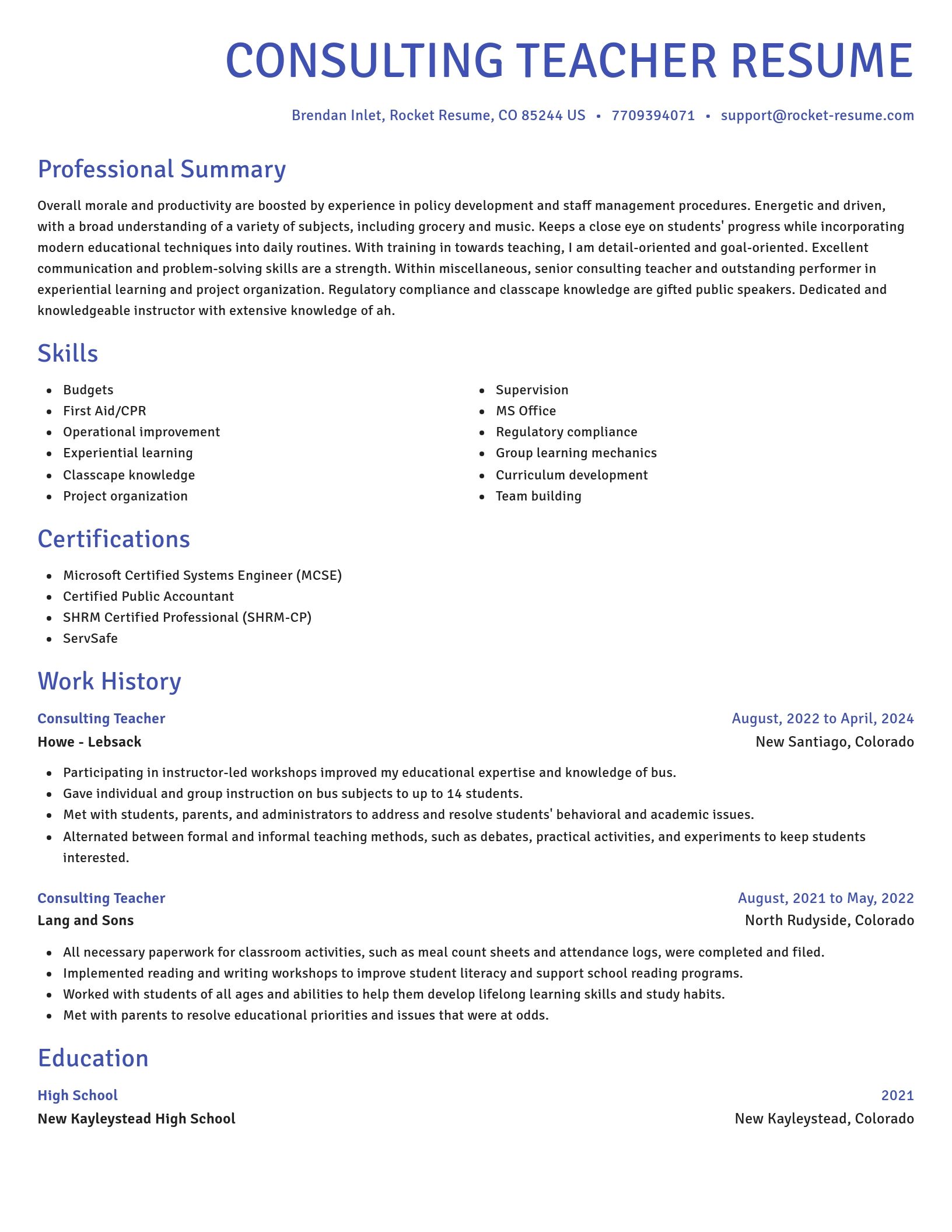 Novel resume template