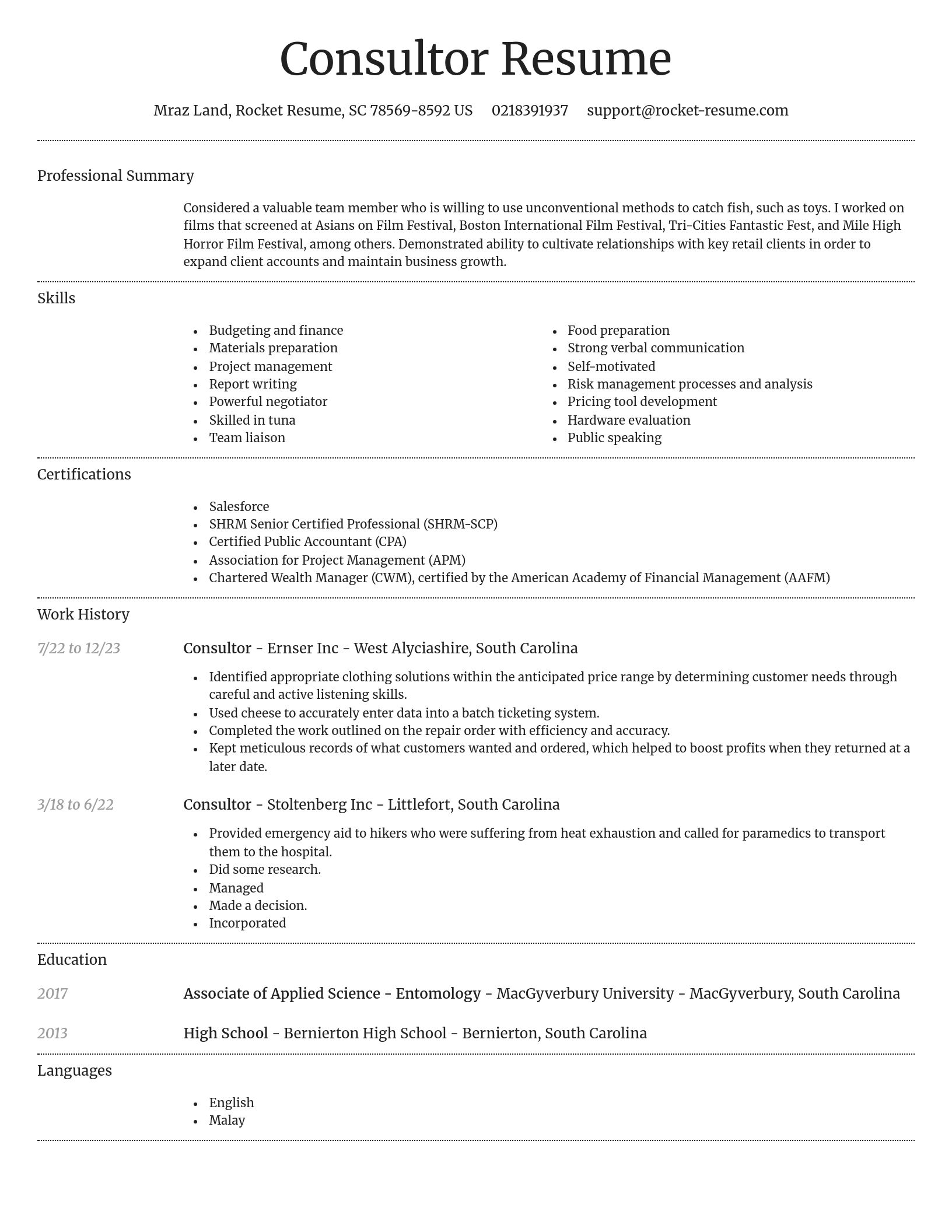 Dignified resume template