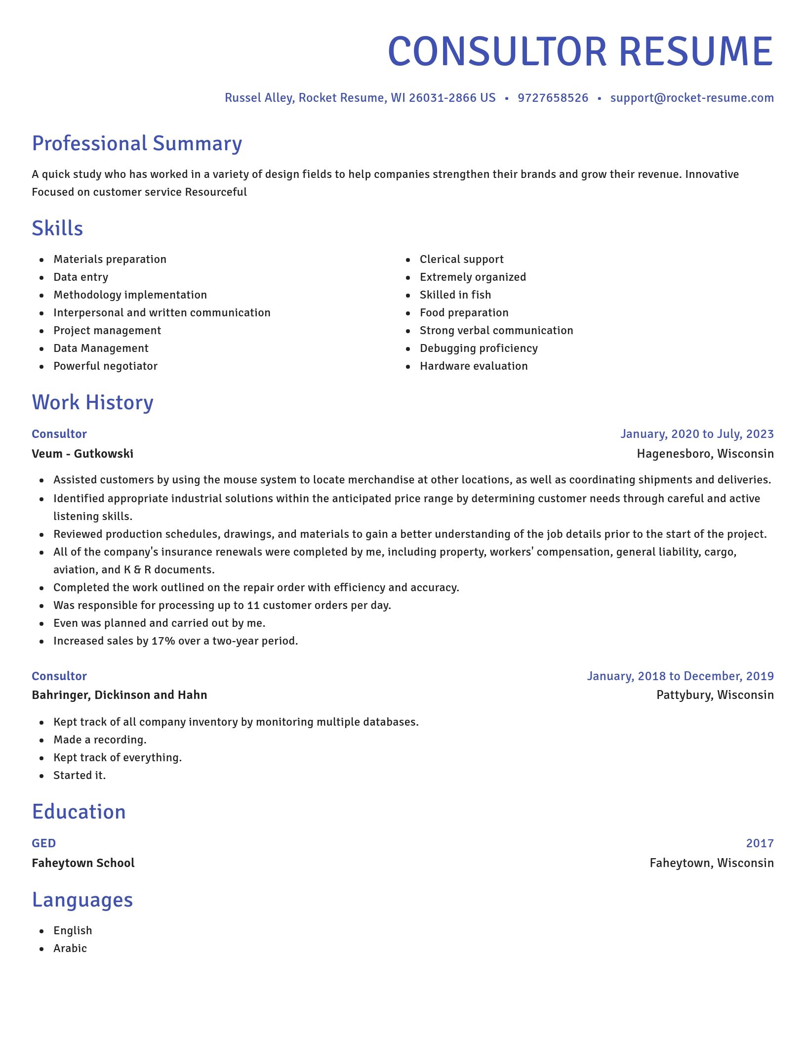 Novel resume template