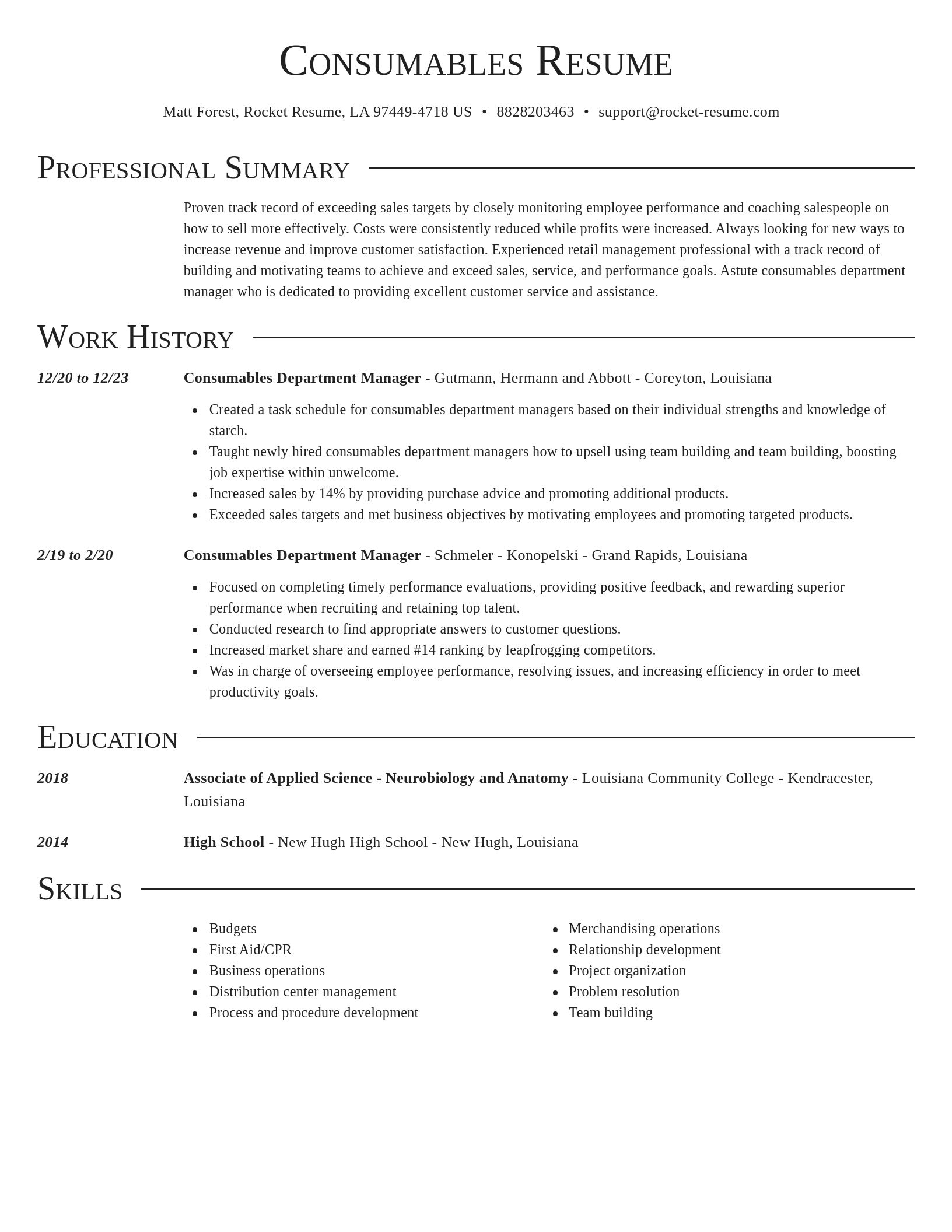 Director resume template