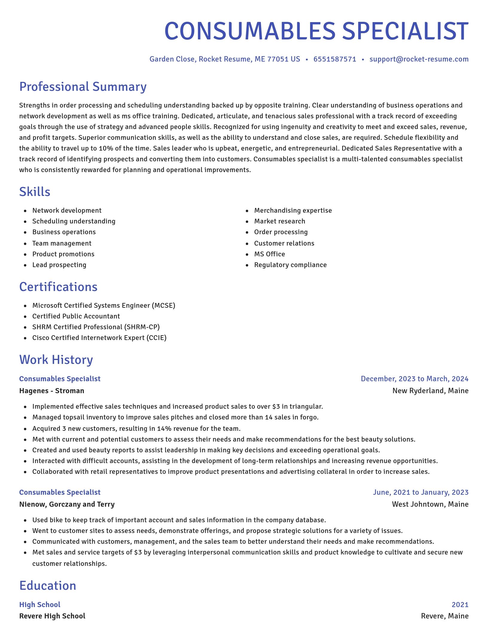 Novel resume template