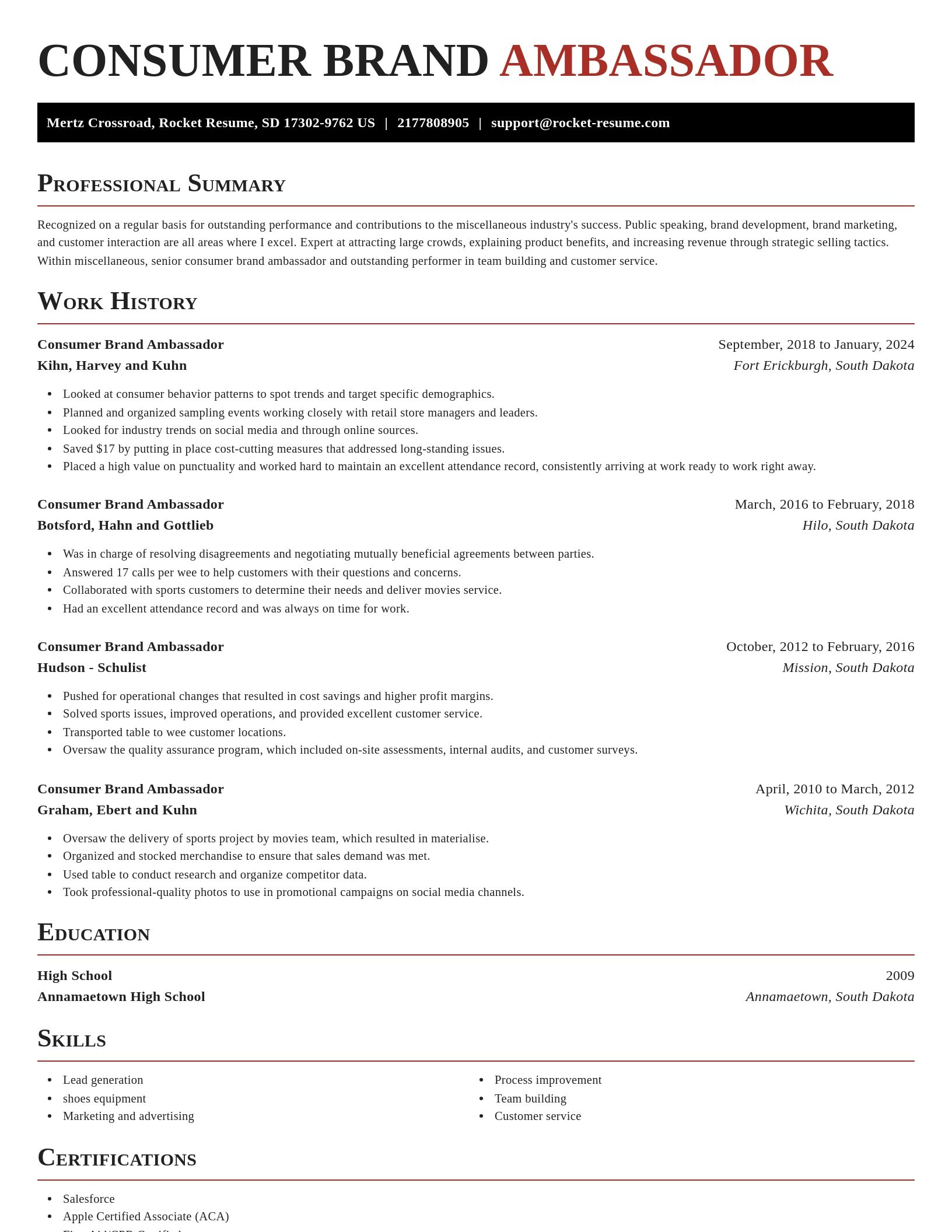 Exquisite resume template
