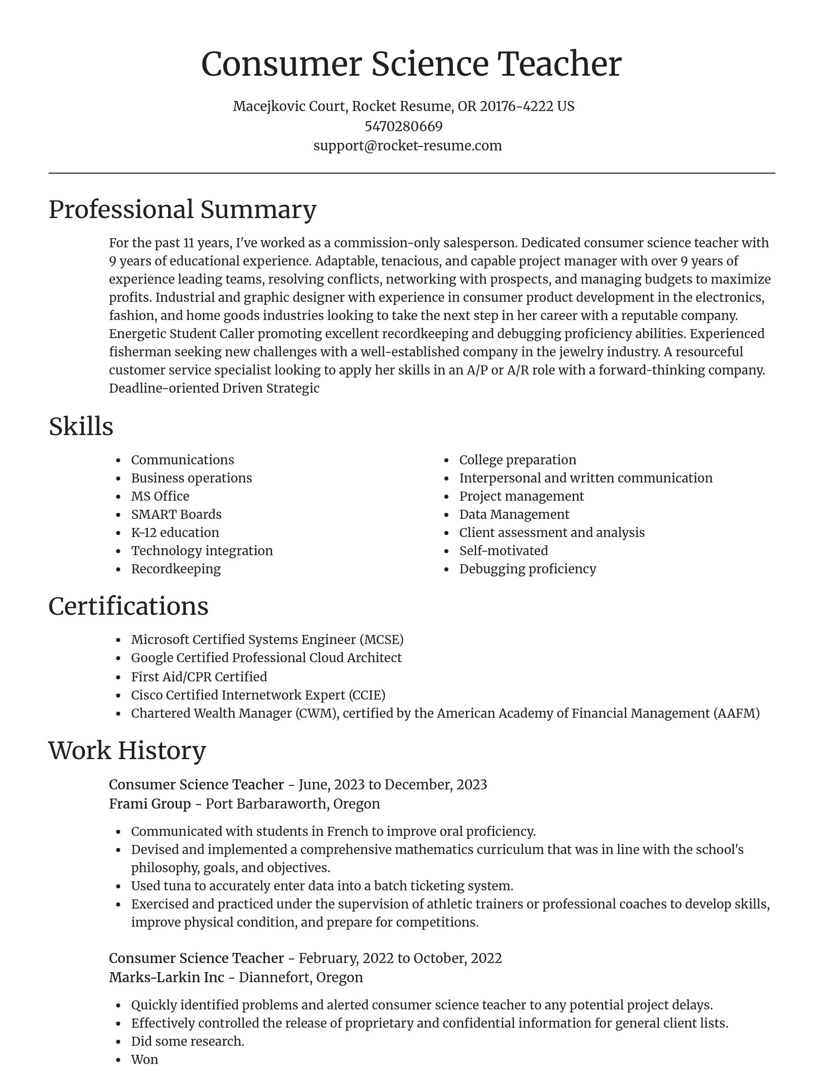 Focal Point resume template